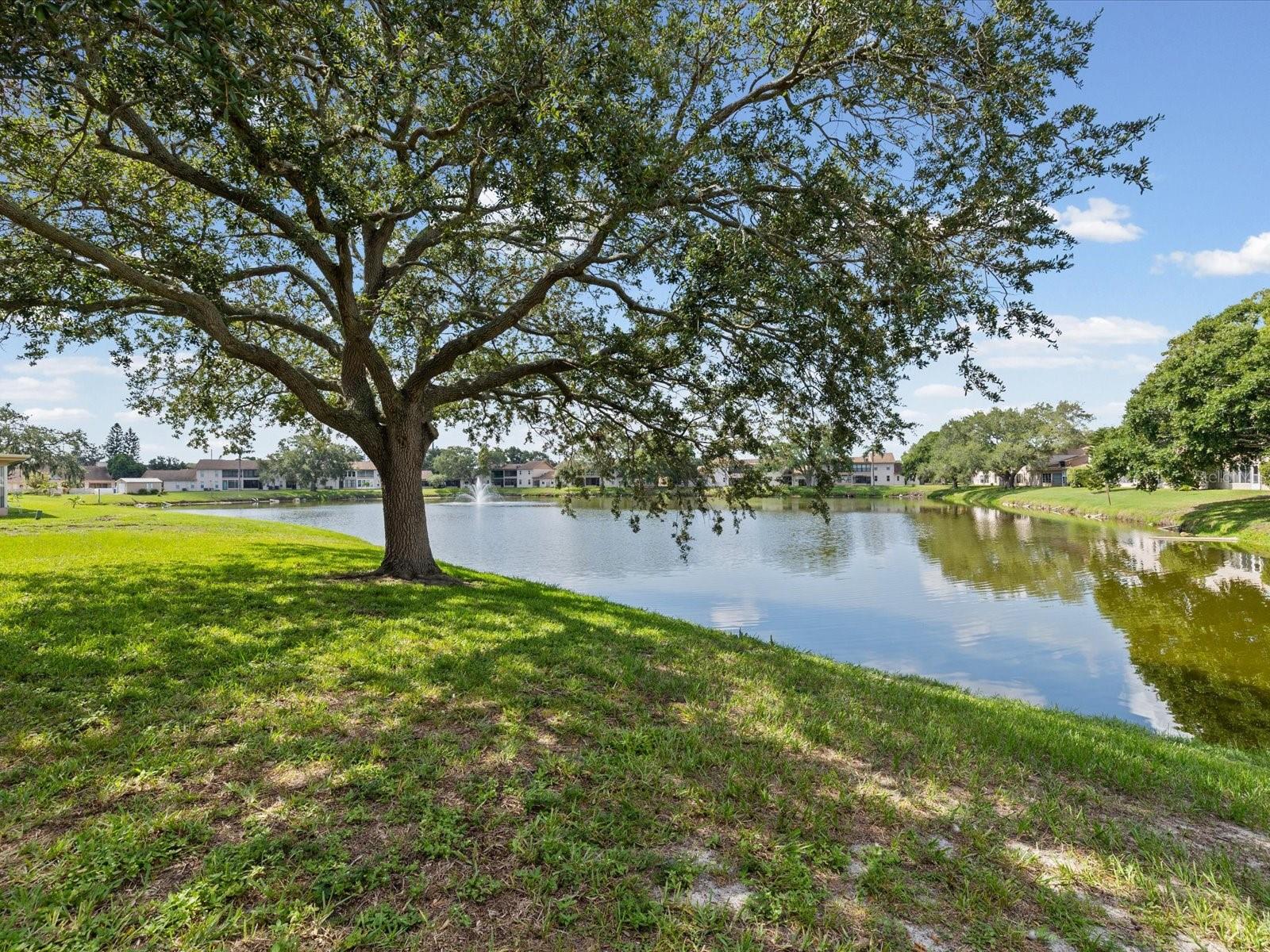 Pond View with Water Fountain. NON Flood Zone!