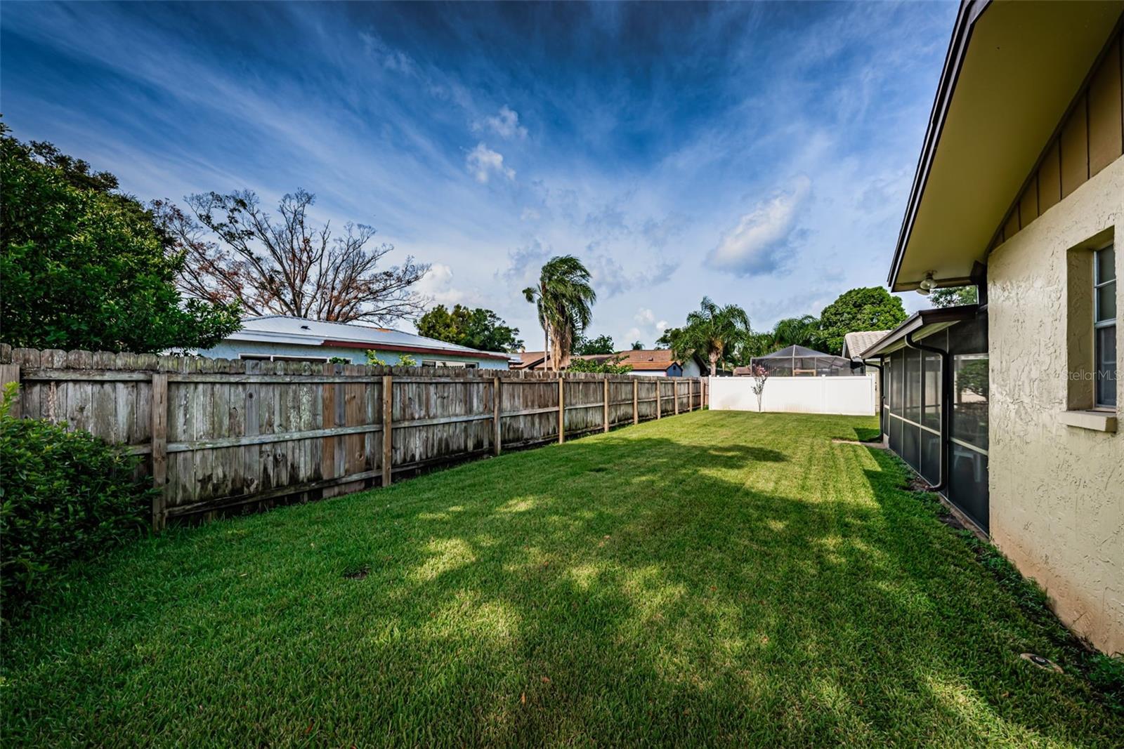 Back yard