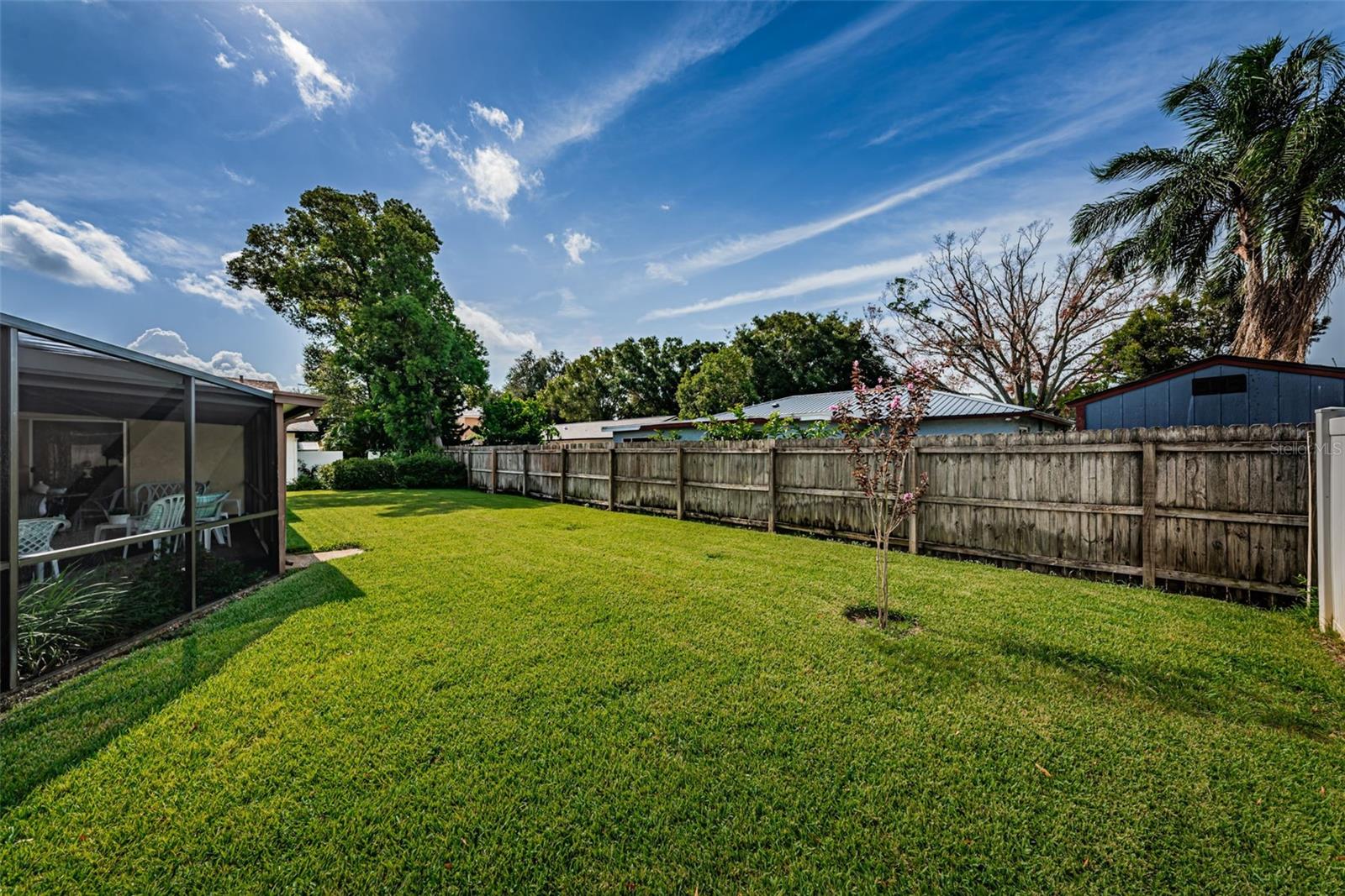 Back yard