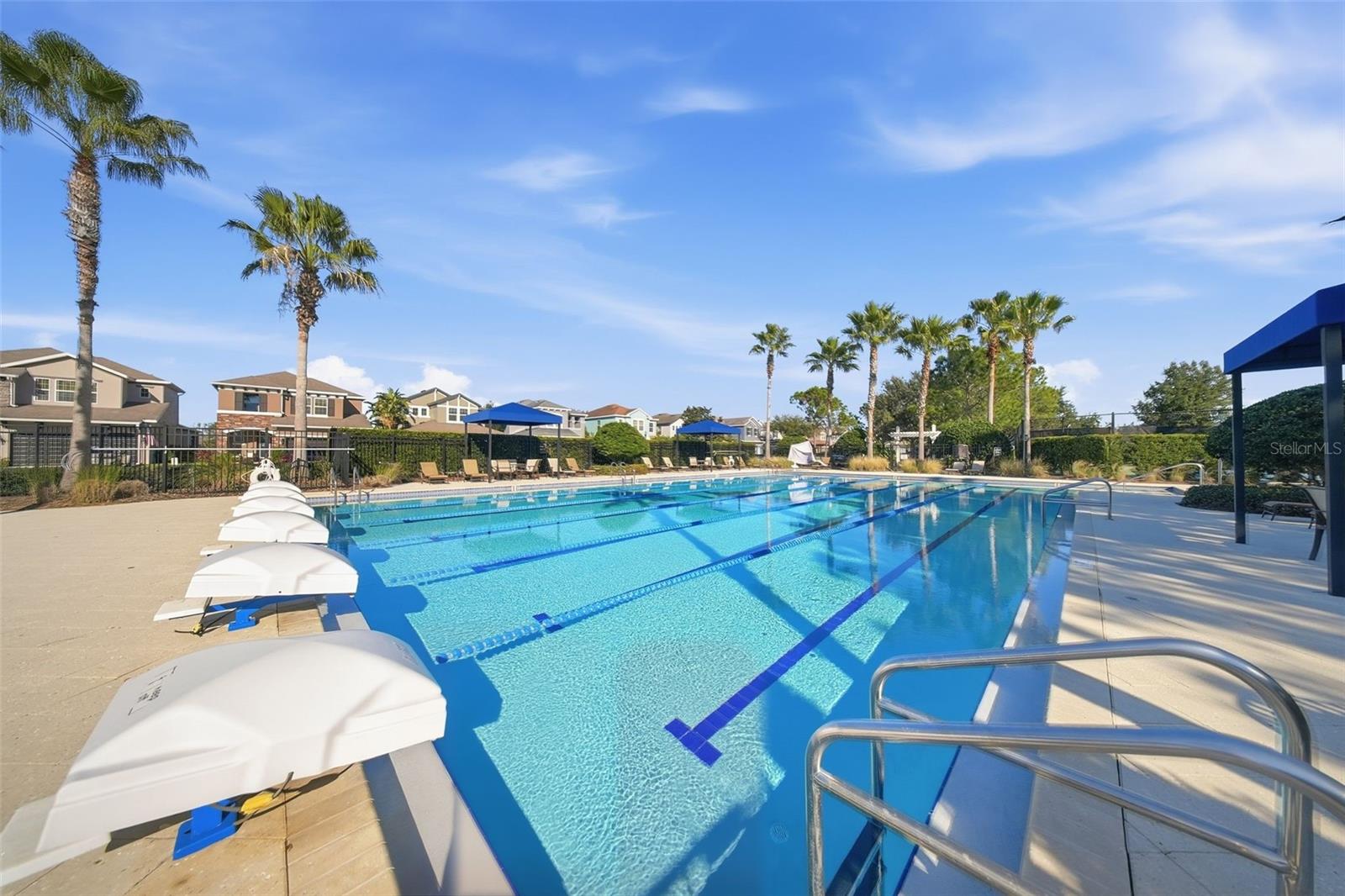 Lap Pool
