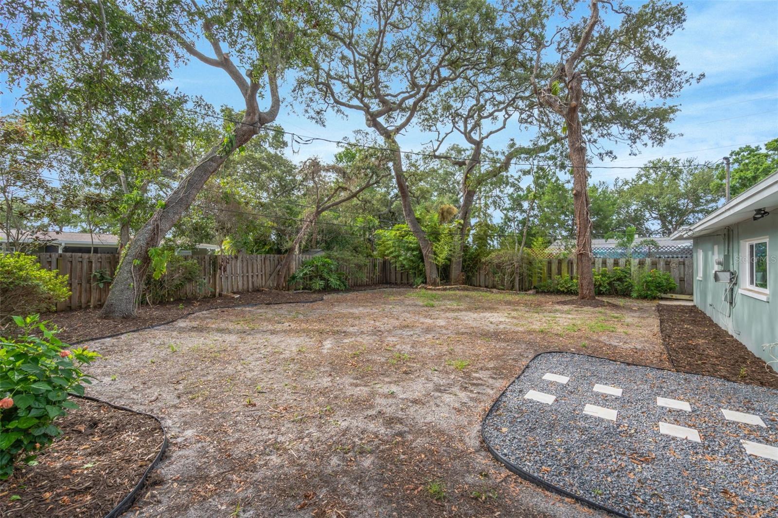Backyard