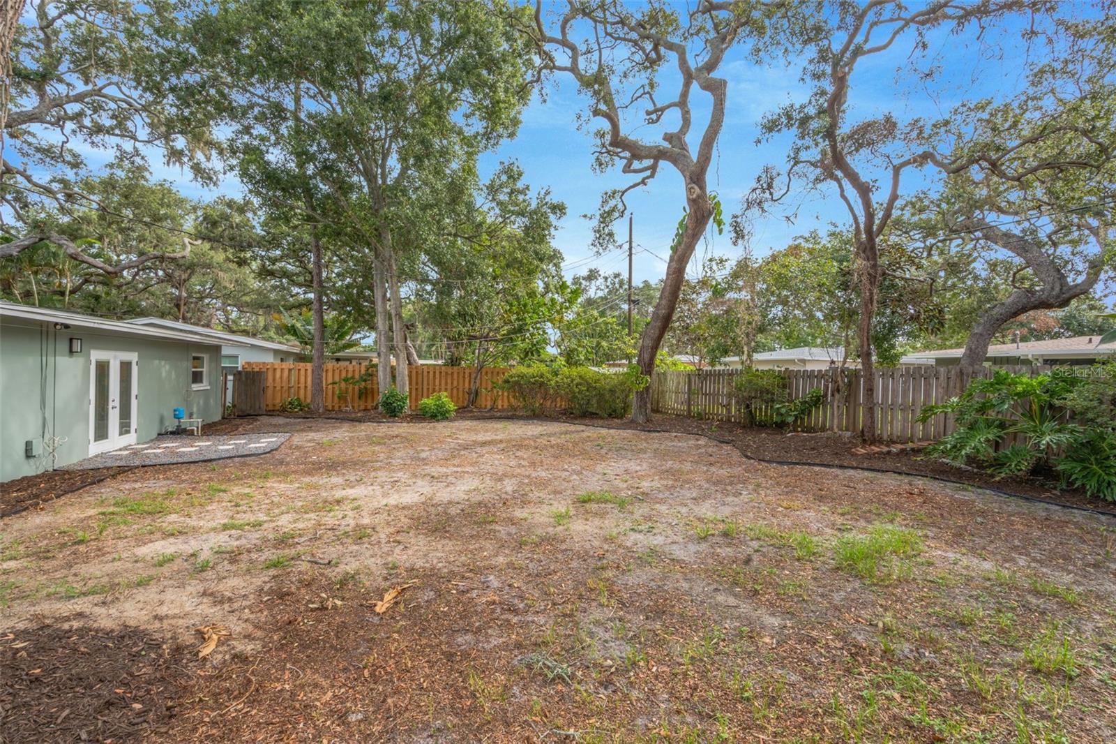 Backyard