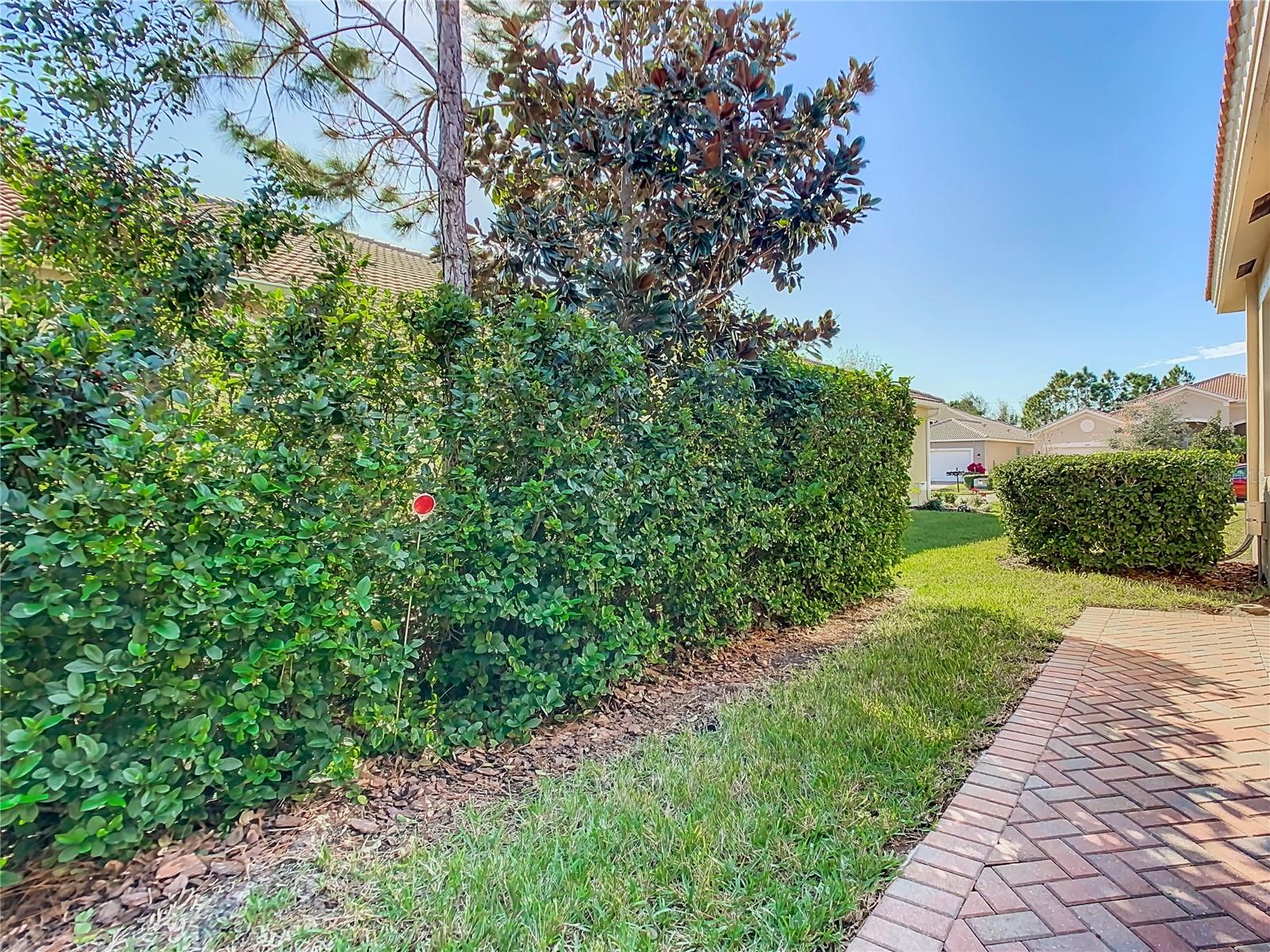 TB8531622