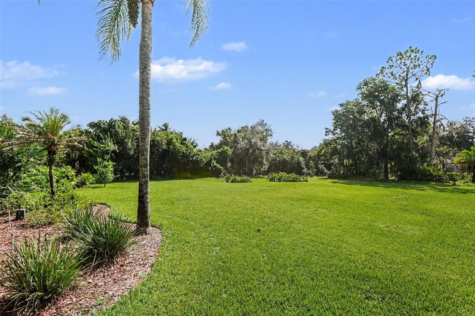 Spacious back yard