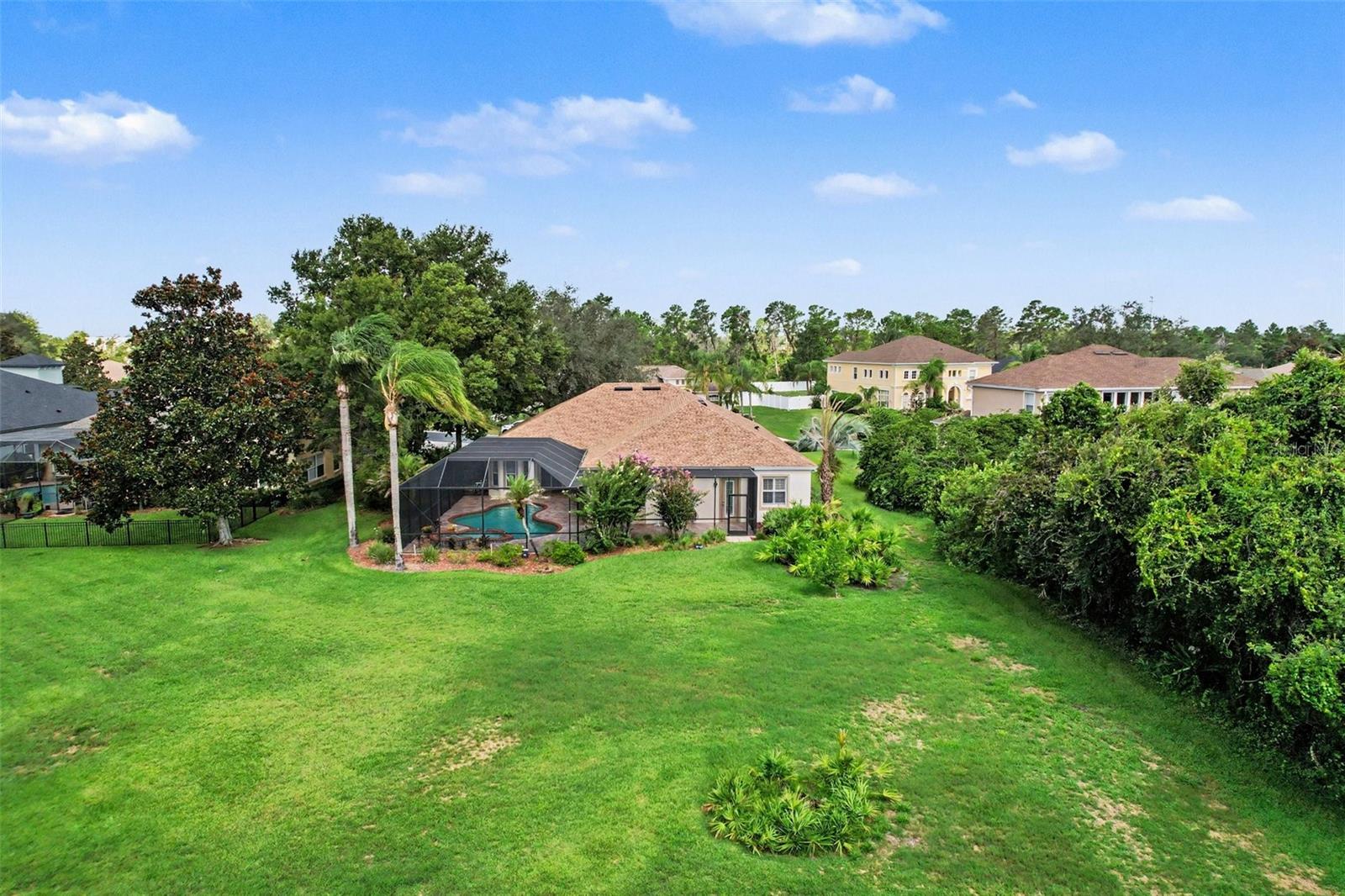 Large back yard