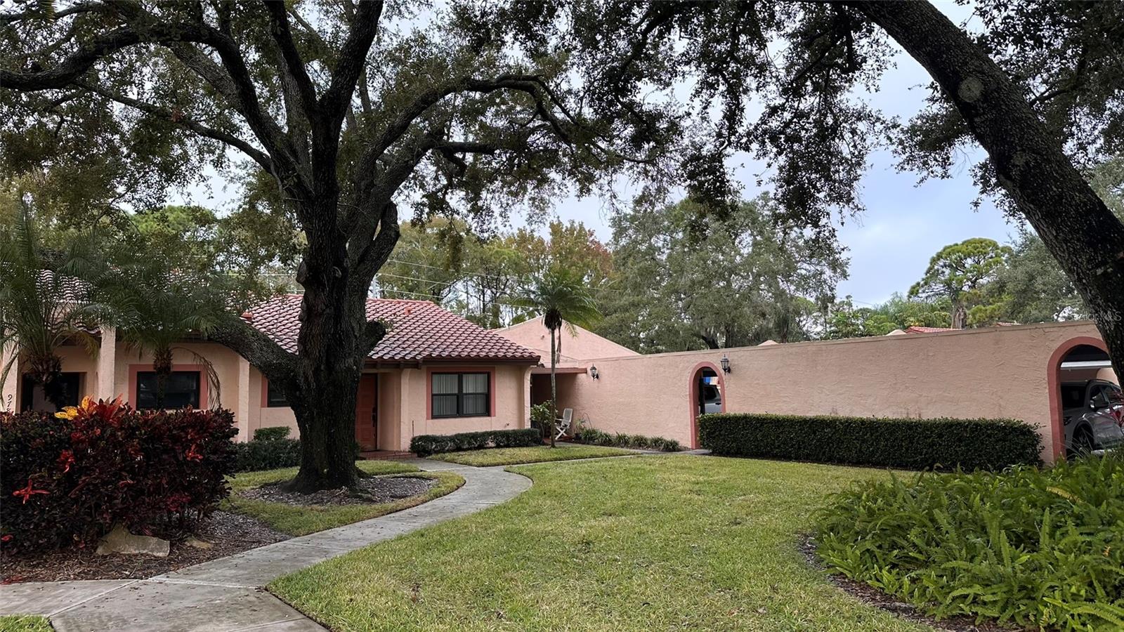 Mature Oaks in Courtyard