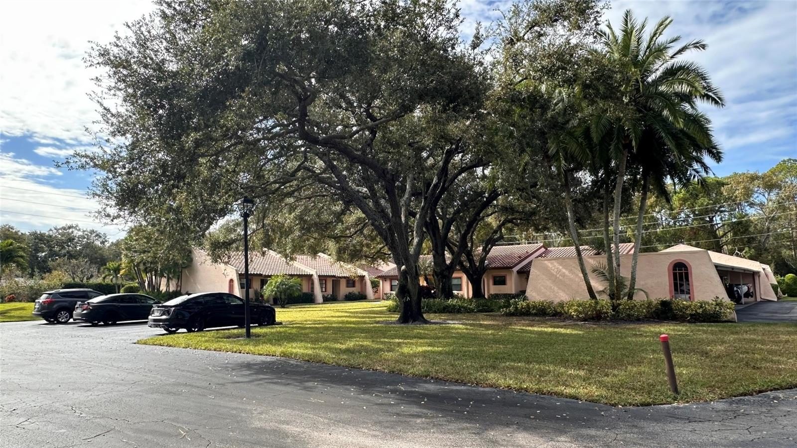 Guest Parking Front and Carports Right Side