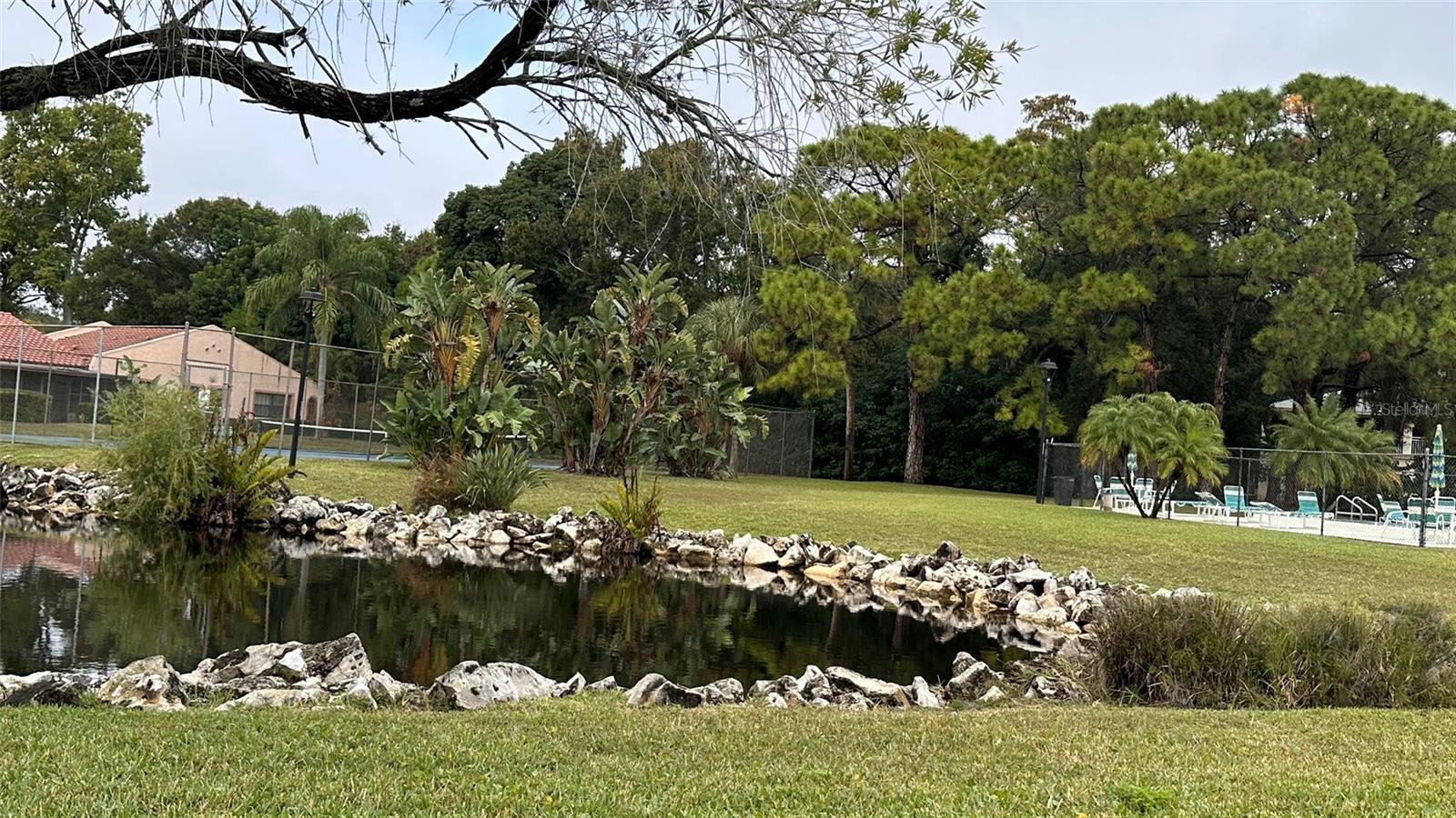 Quiet Pond Area