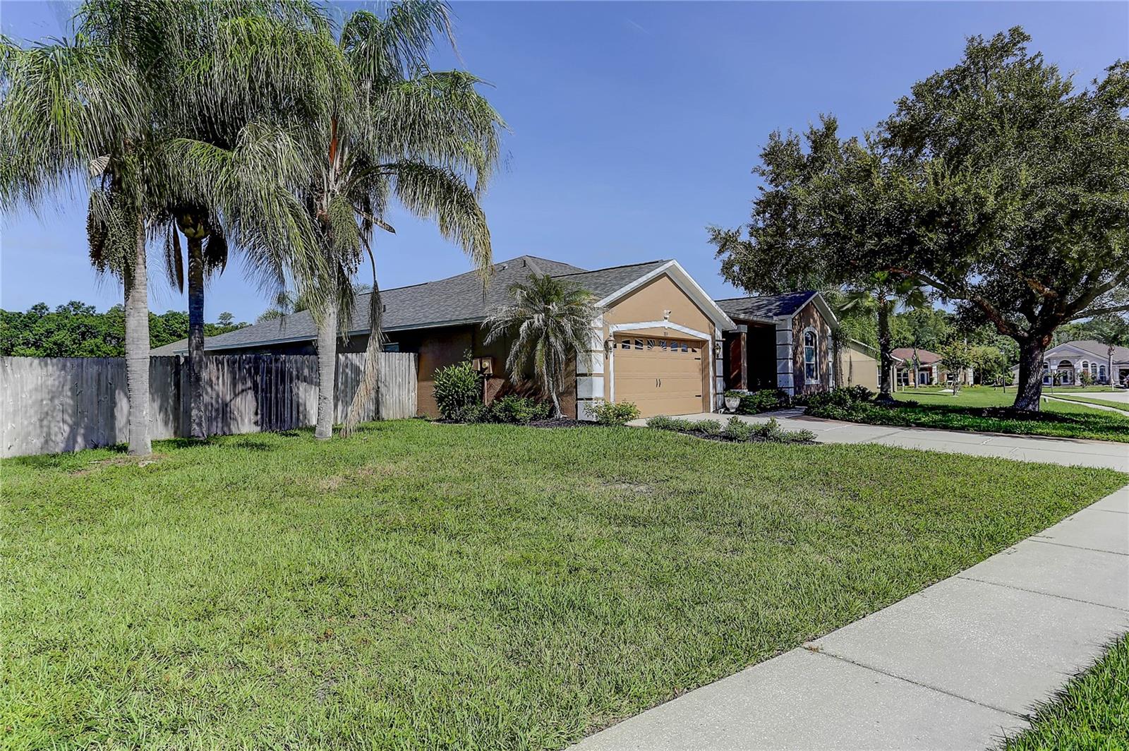 Large Side Yard