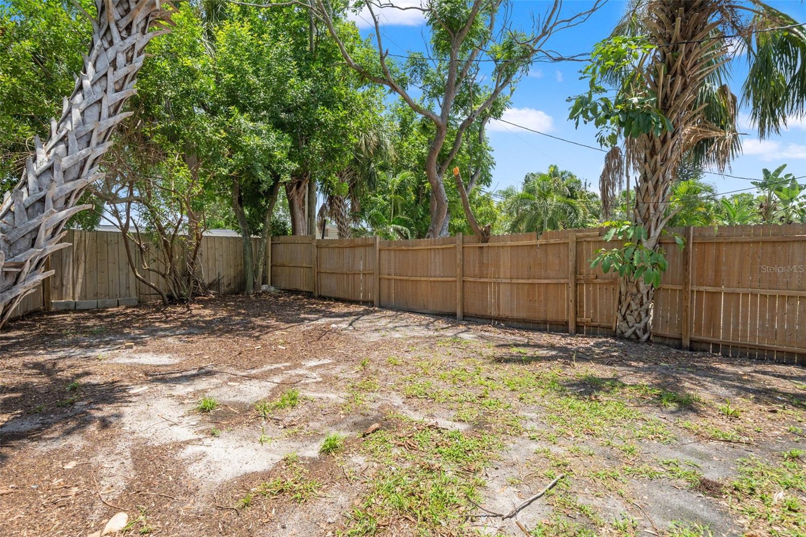 Backyard