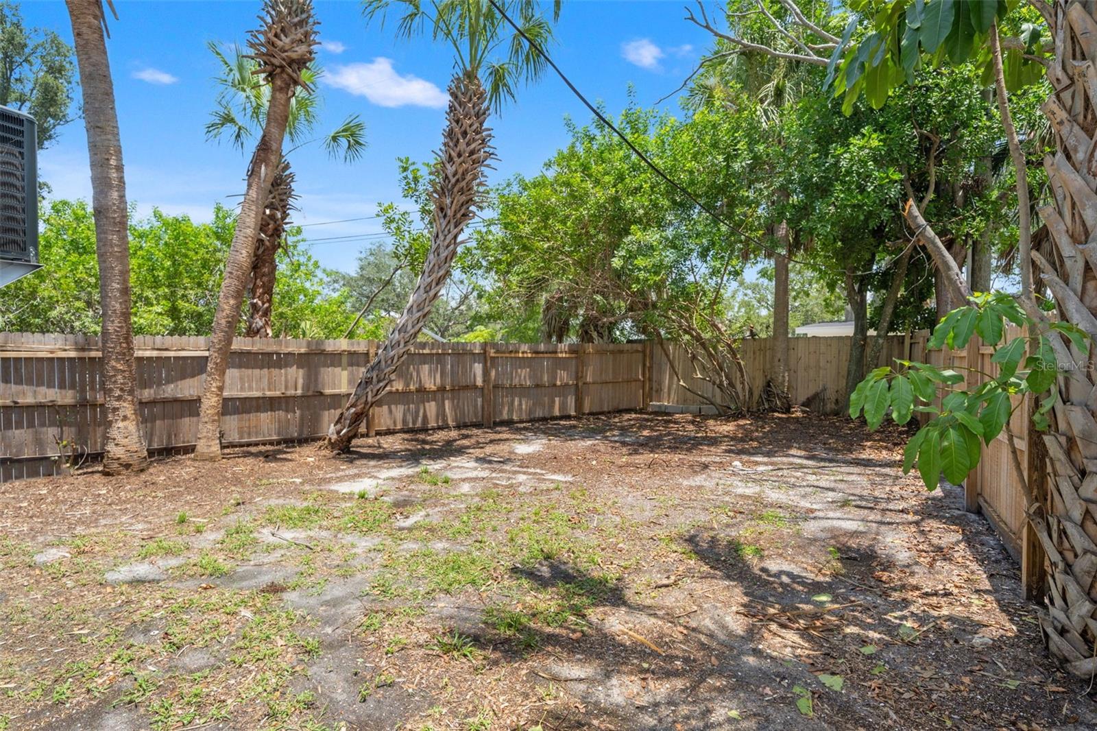 Backyard
