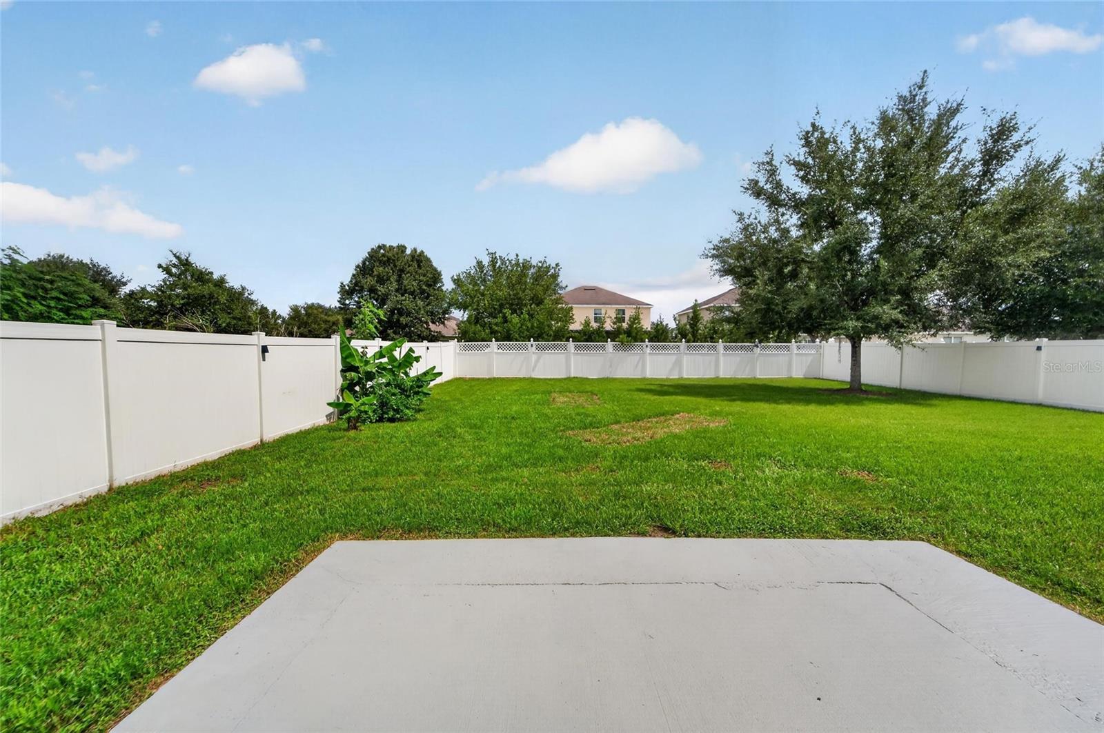 Large fully fenced backyard