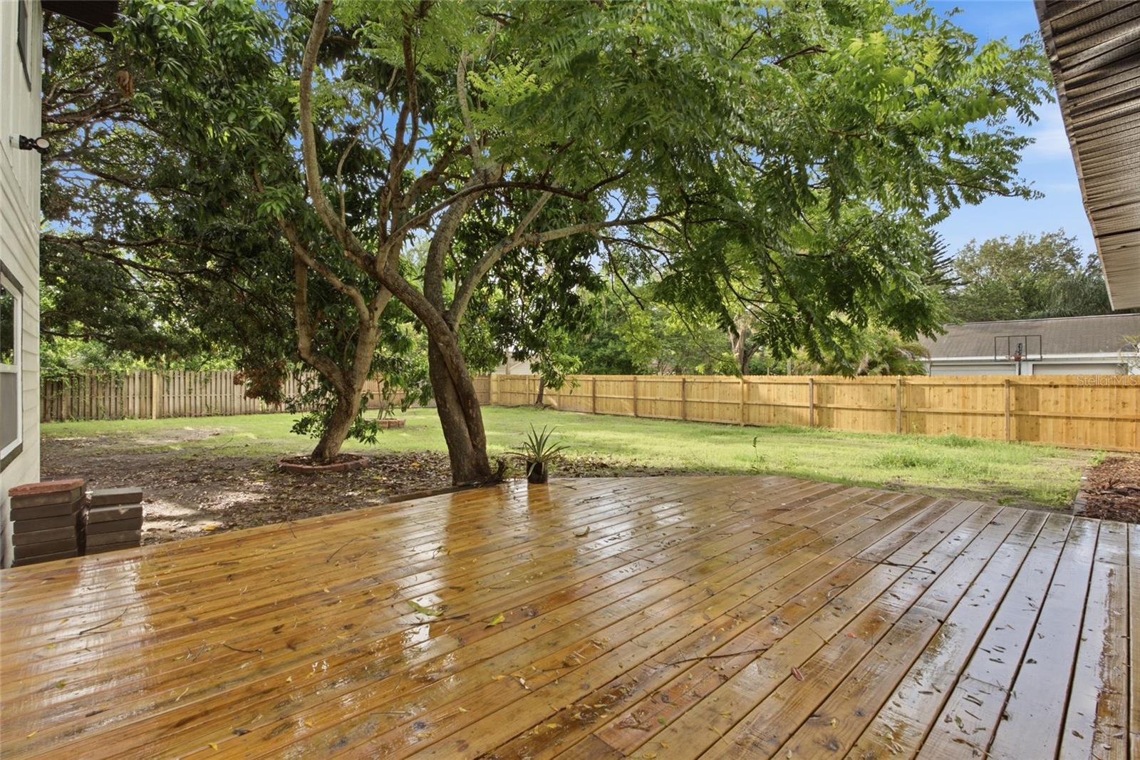 Backyard