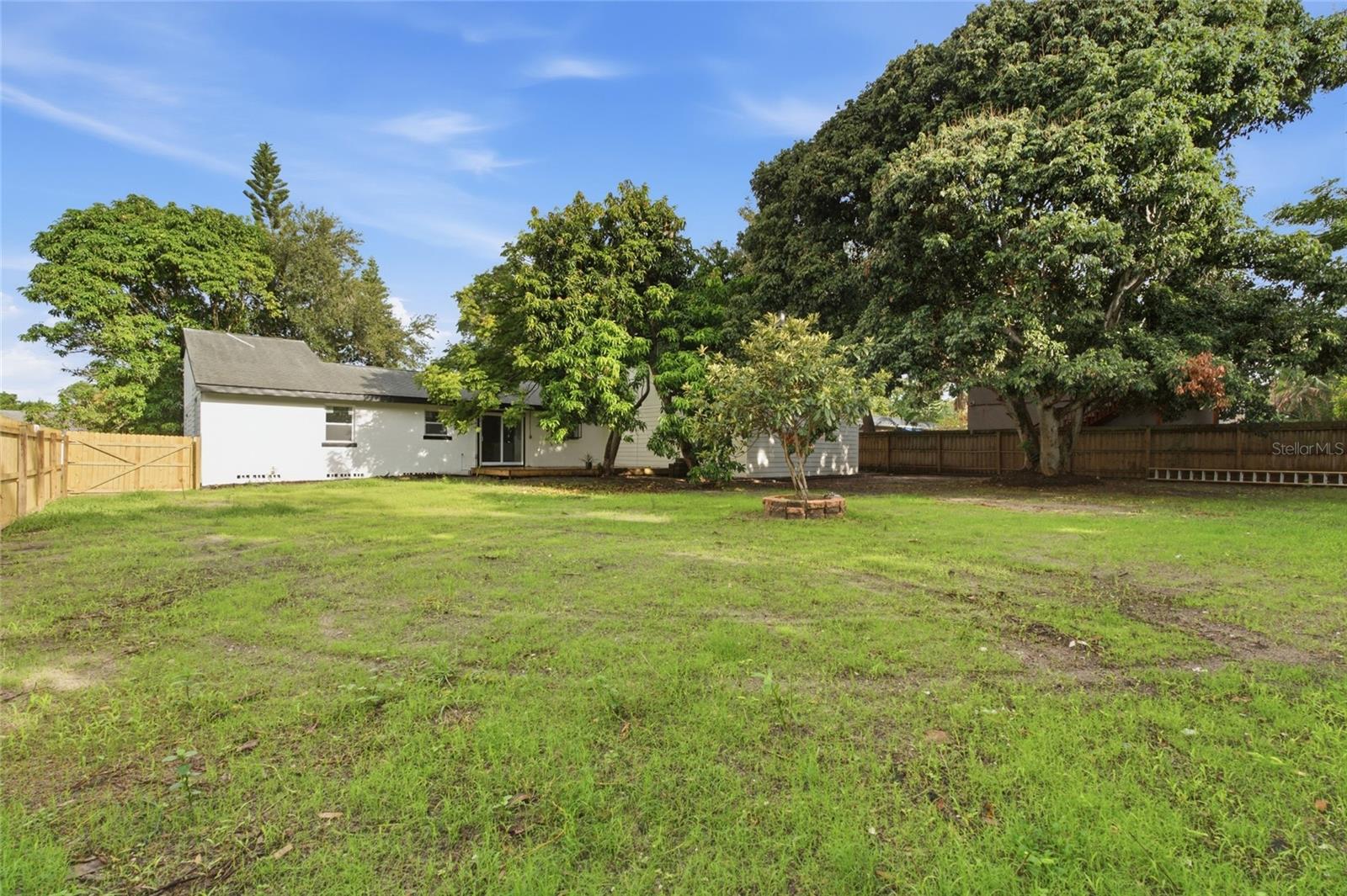 Backyard