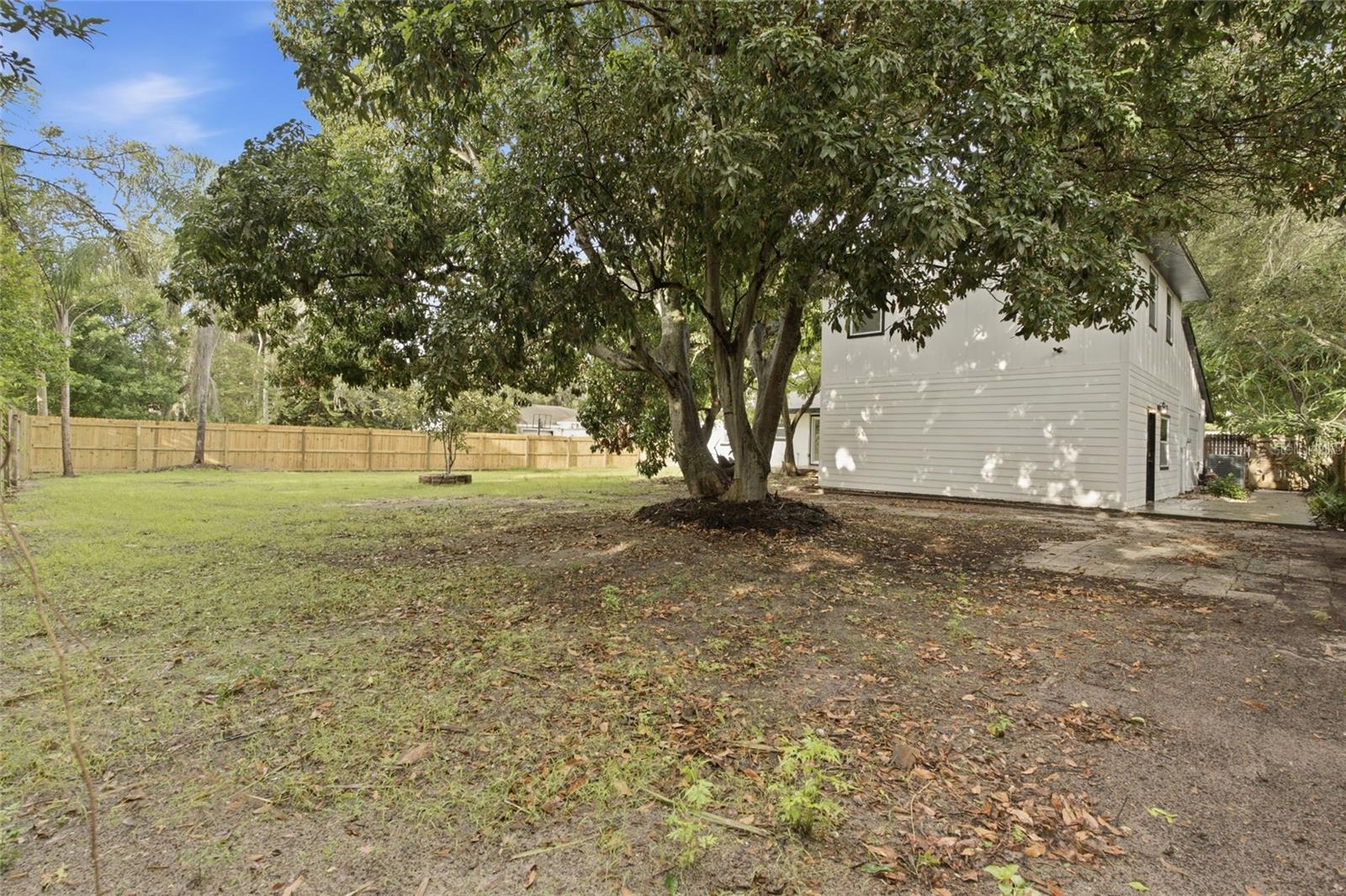 Backyard