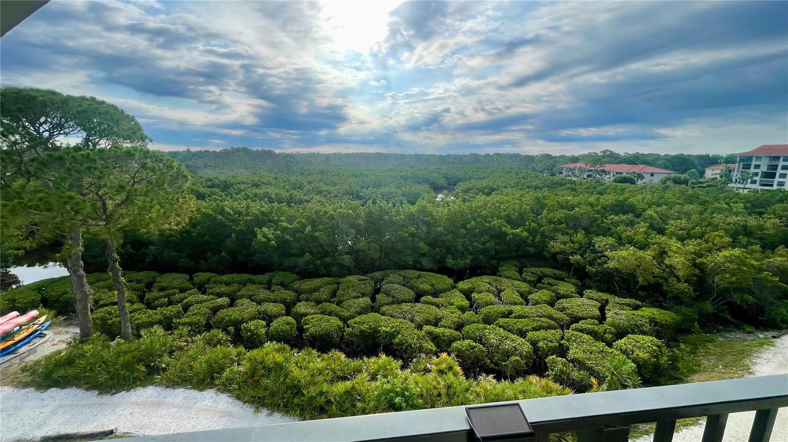 Balcony View of Nature Preserve and Bird Sanctuary