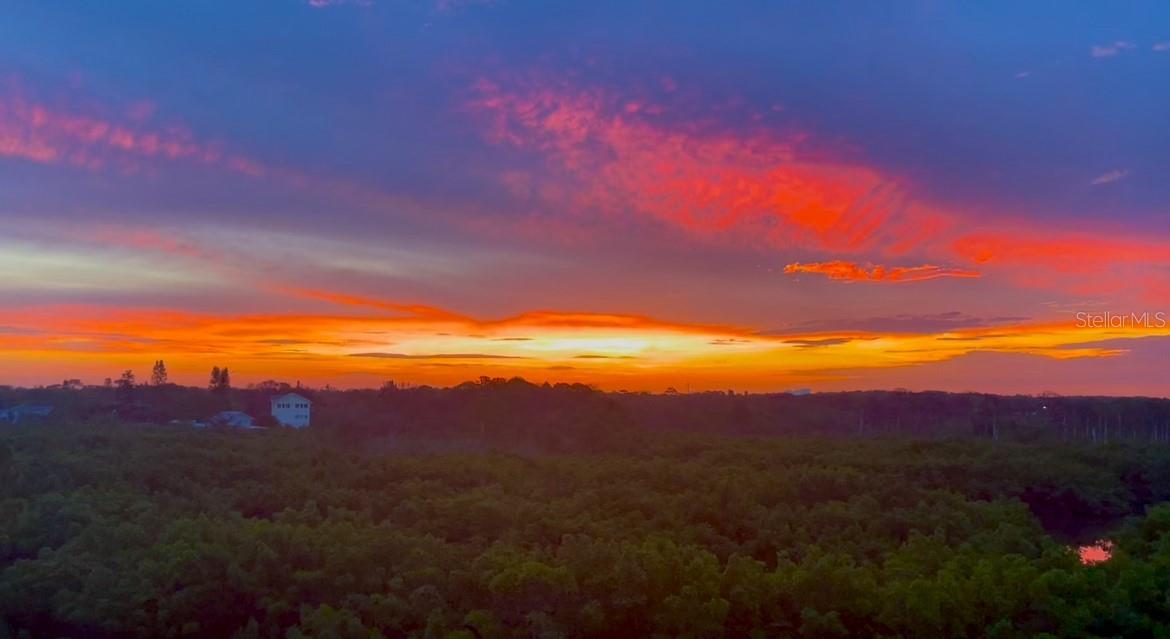 Gorgeous Sunrise from Unit