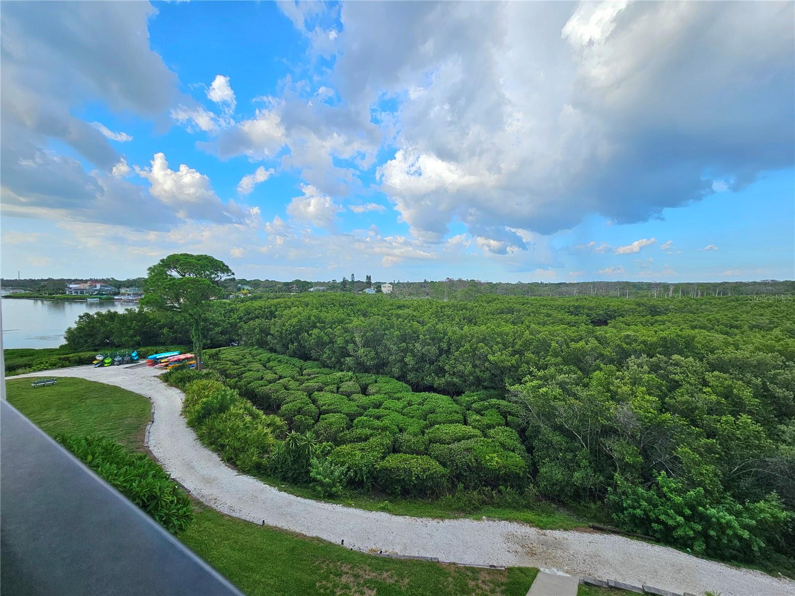 Balcony View and Peak at the Gulf