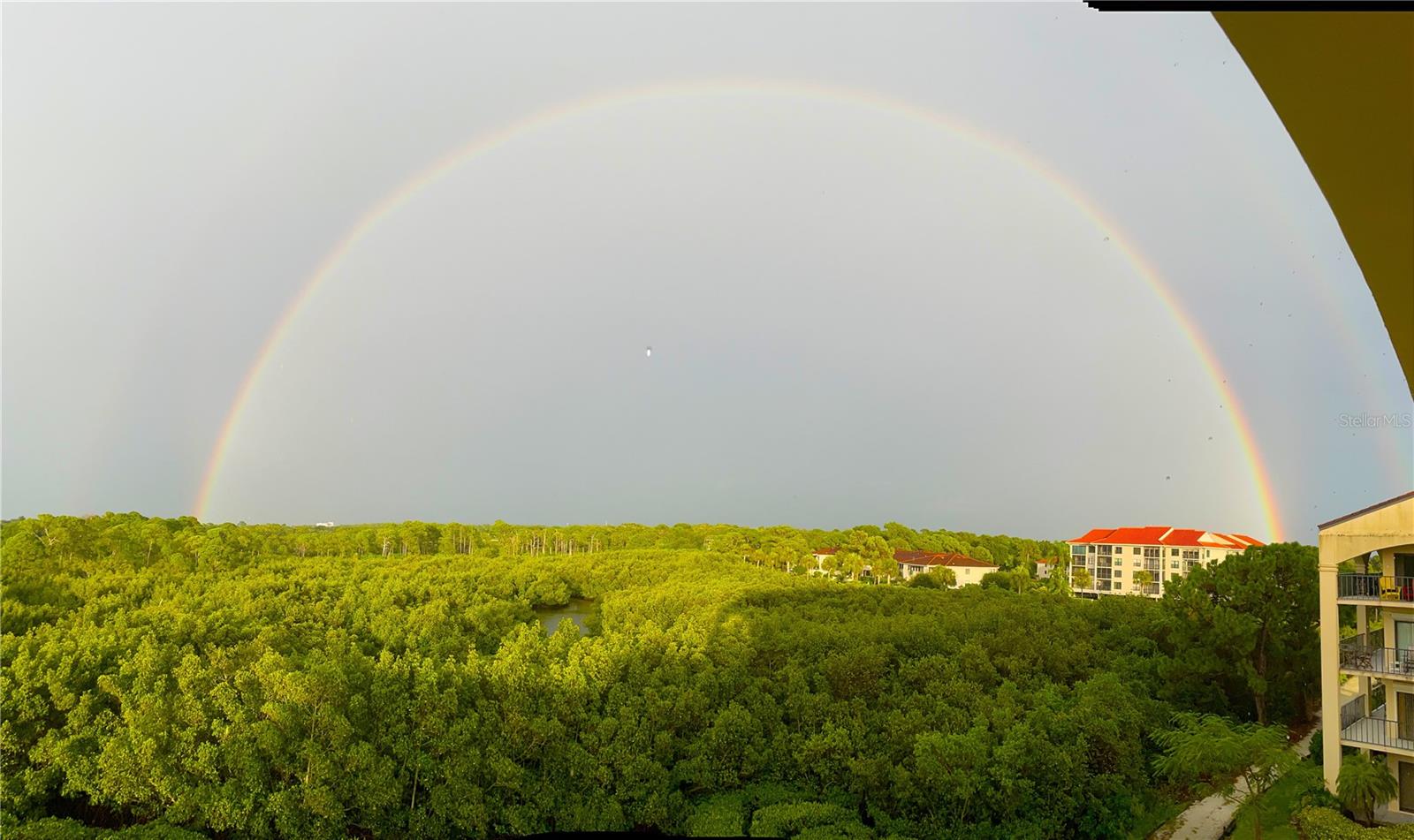 Rainbow