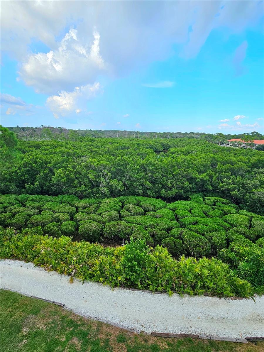 Balcony View of Walking Path