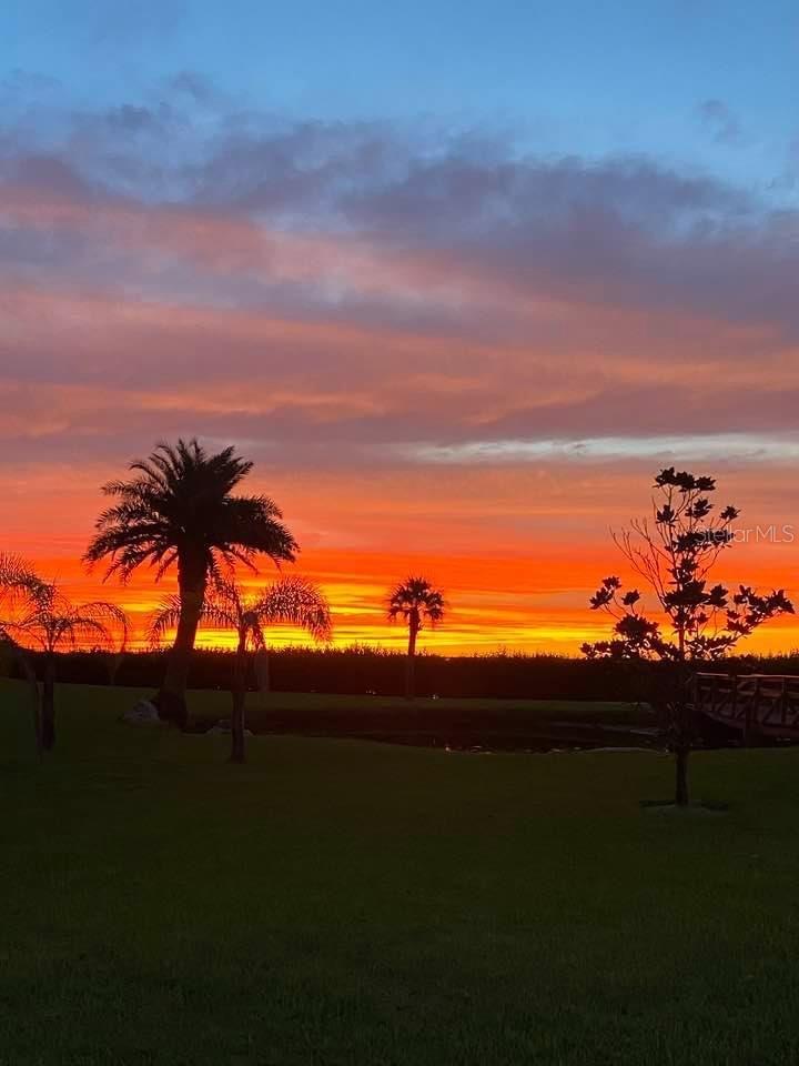 Sunset on Property