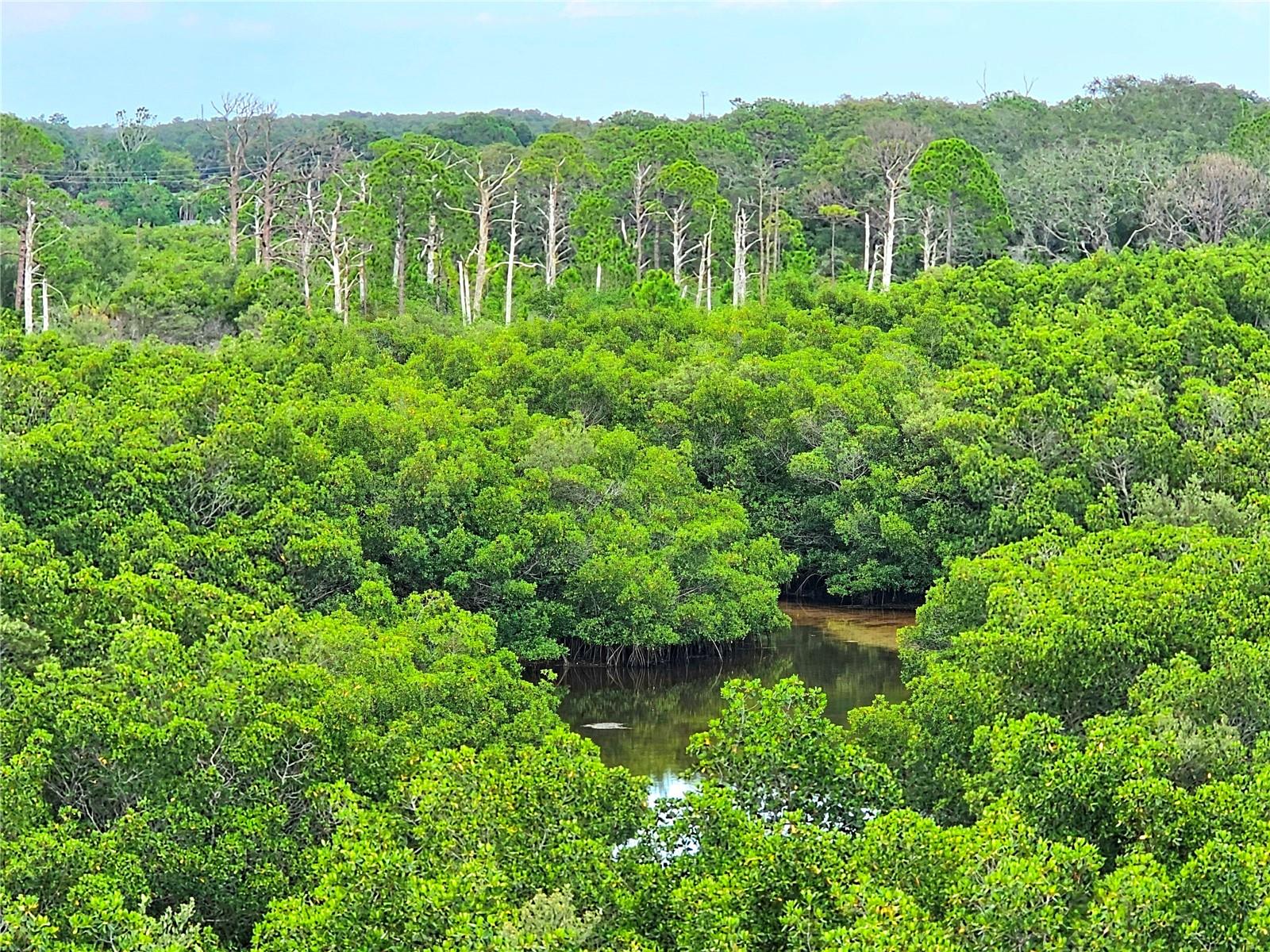 Preserve View