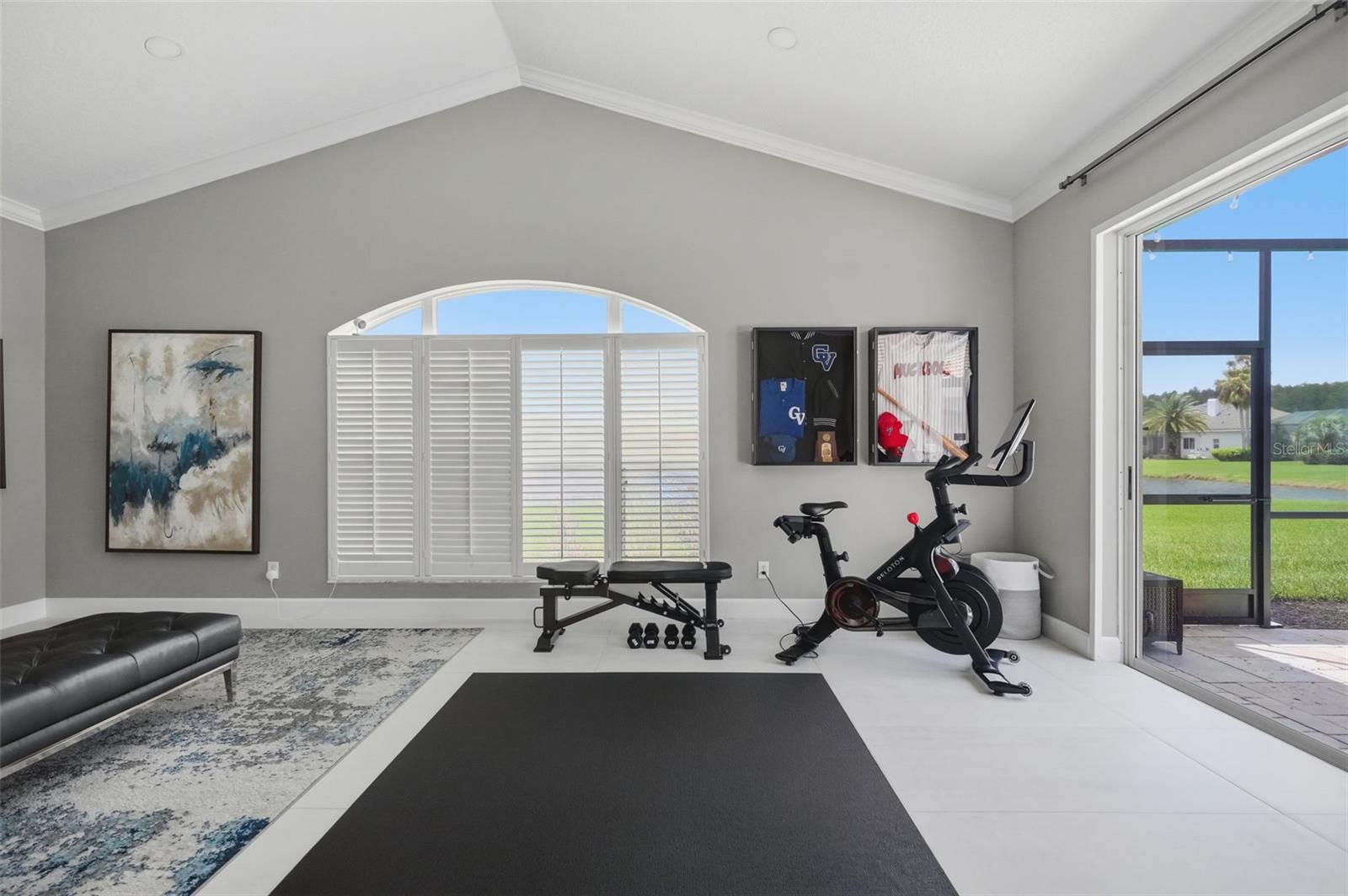 Bonus room or 6th bedroom
