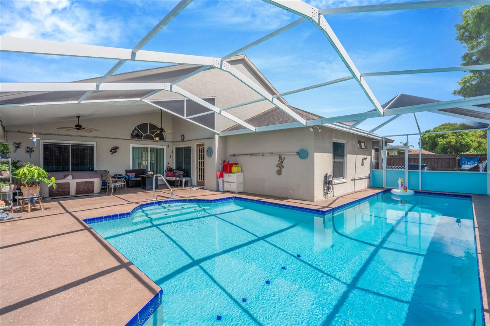 Lap pool with screen enclosure