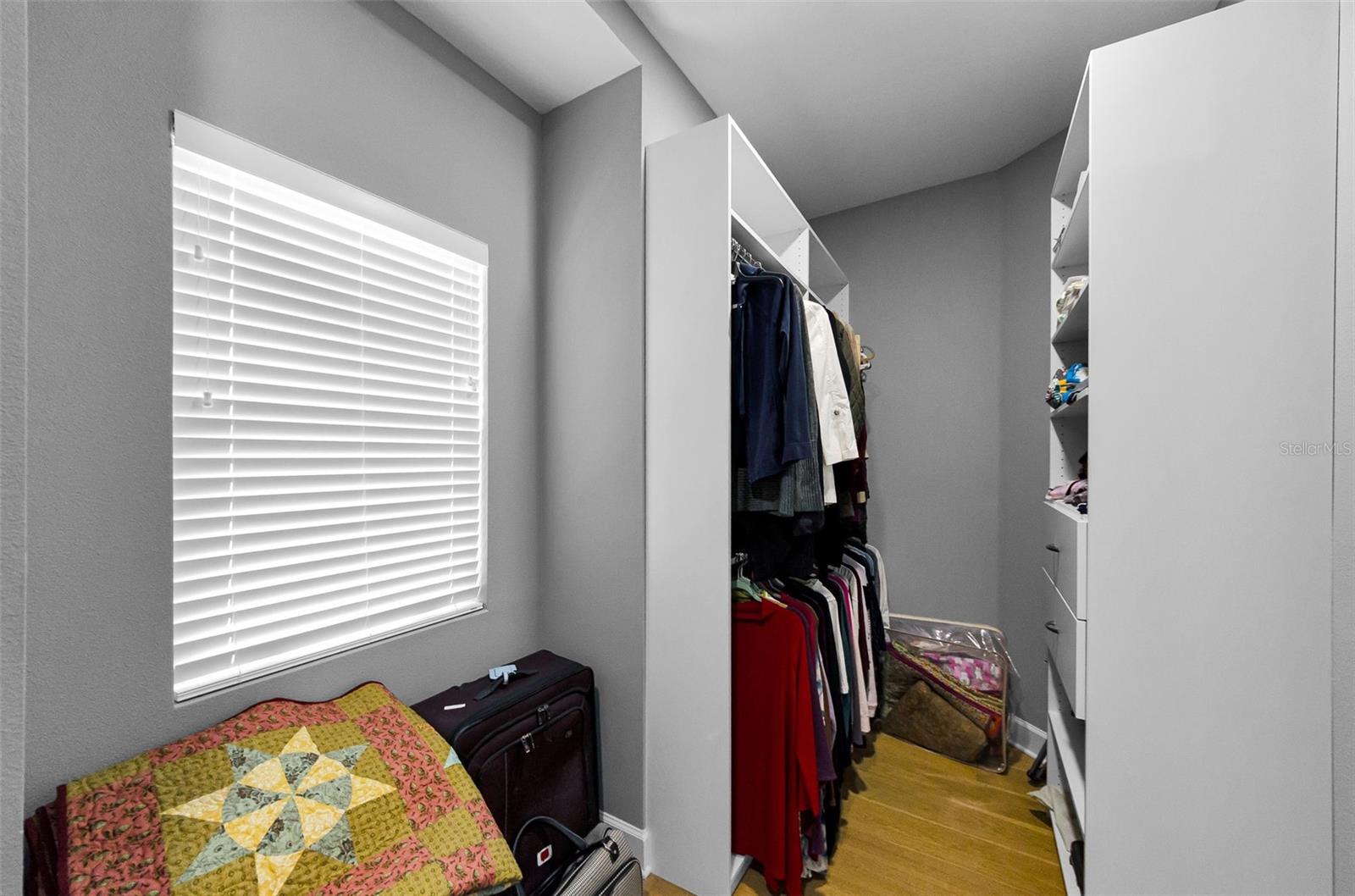 Primary Bedroom Walk-in Closet