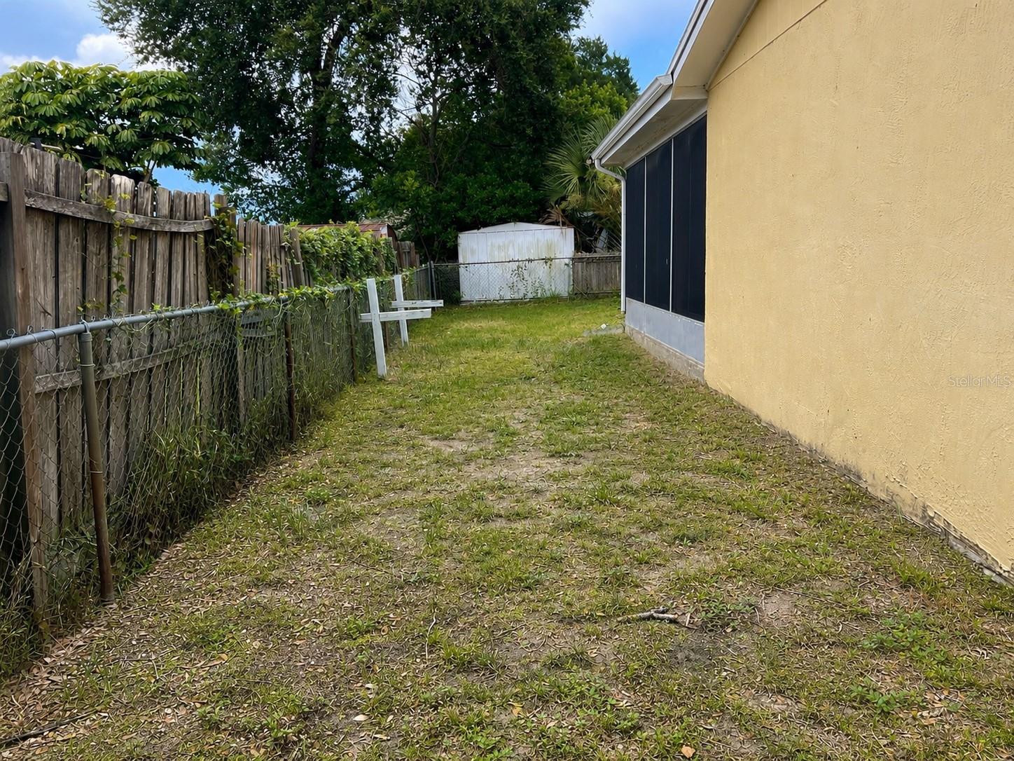 Back Yard