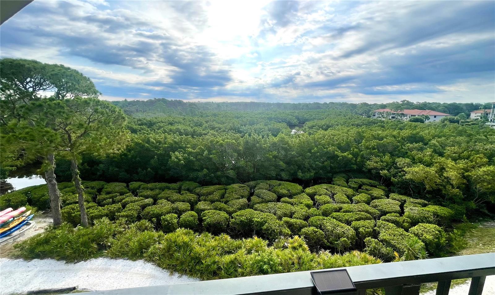 View of Nature Preserve from Balcony