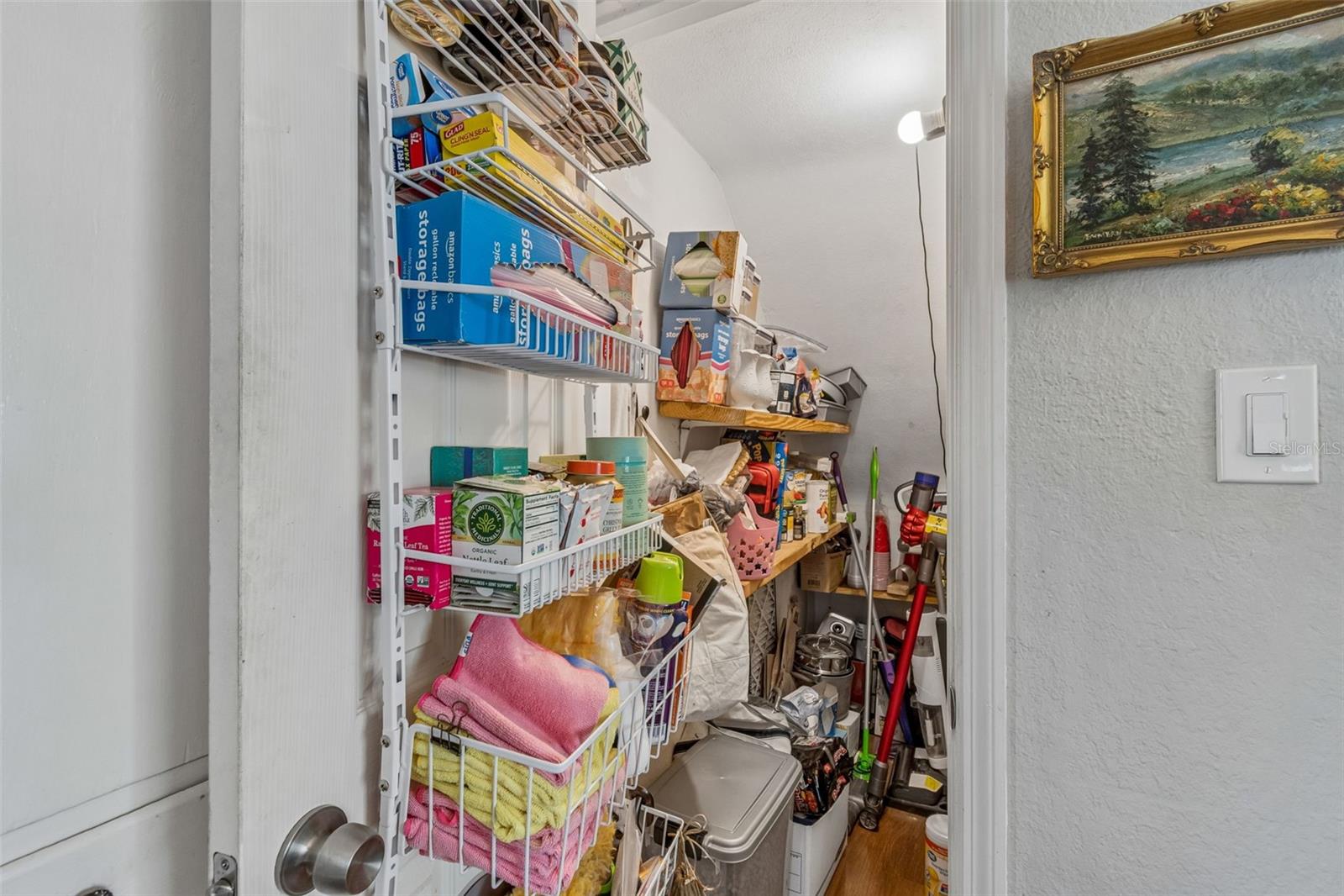 Under the stairs pantry & storage closet