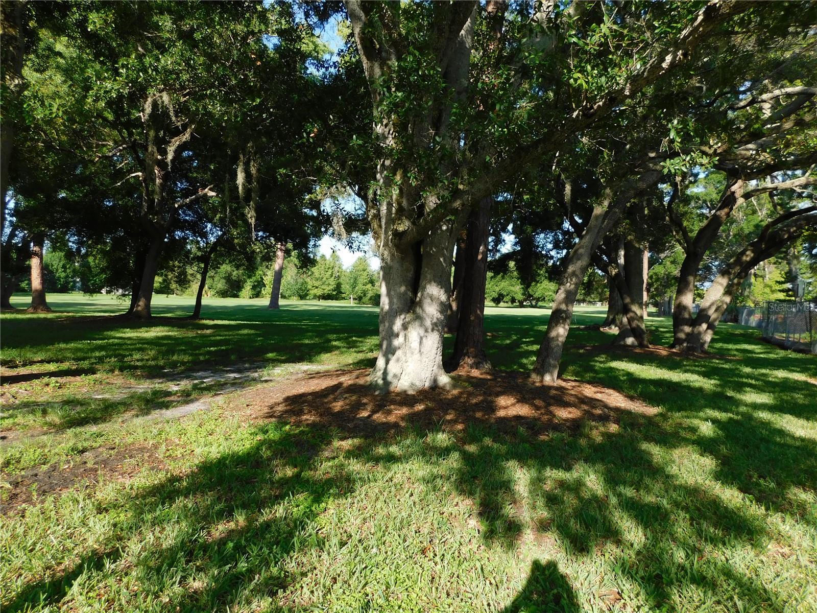 Park across street