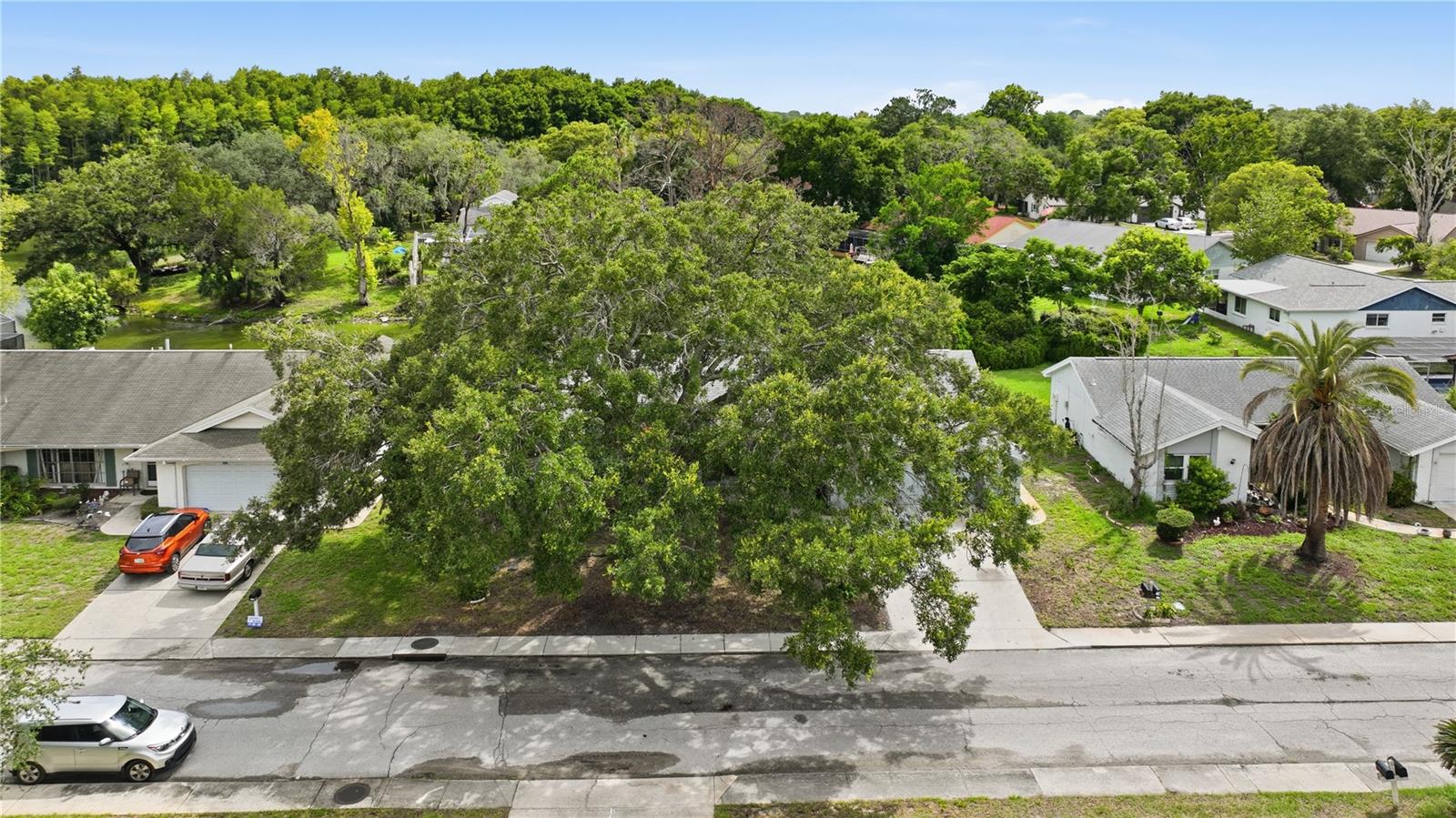 Front aerial view featuring the home’s broad homesite and impressive mature shade tree.