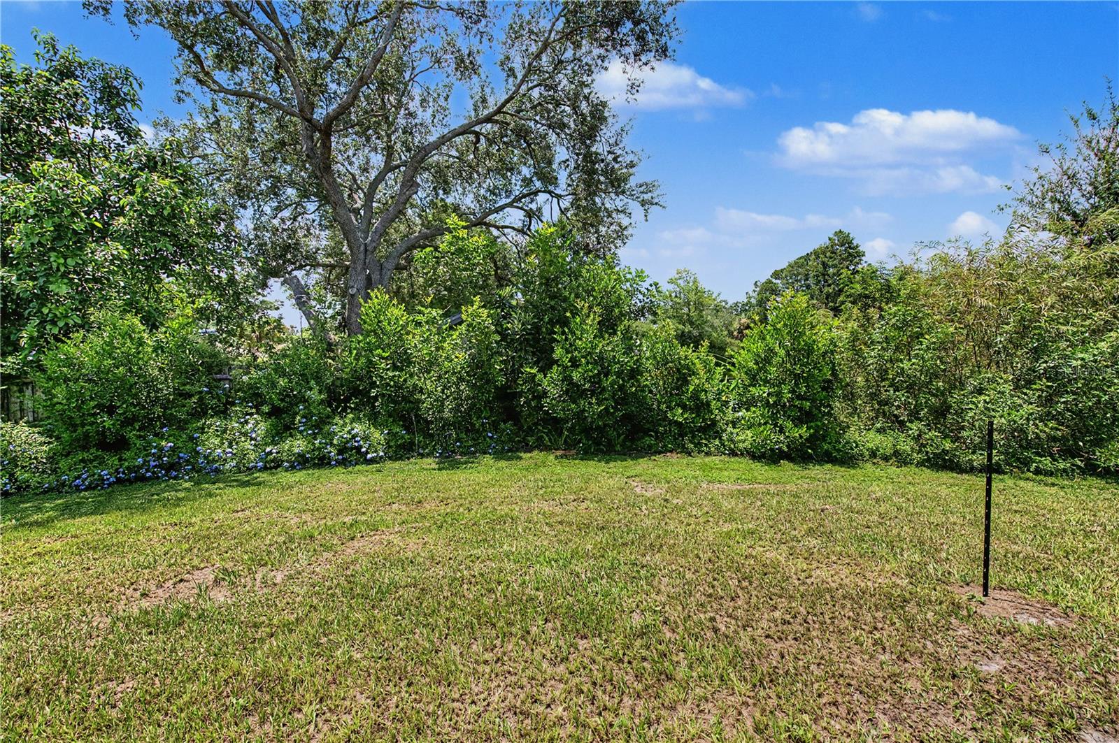 View of conservation/pond