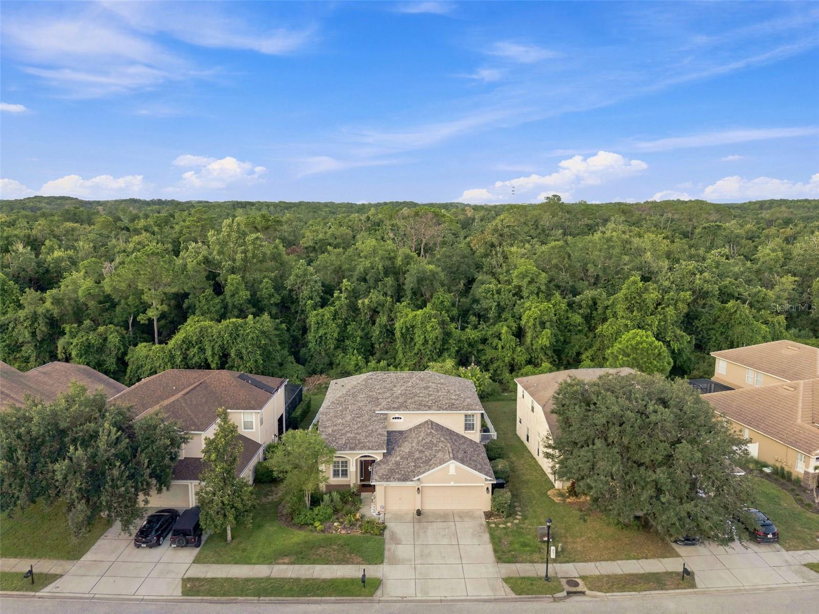 Amazing home!