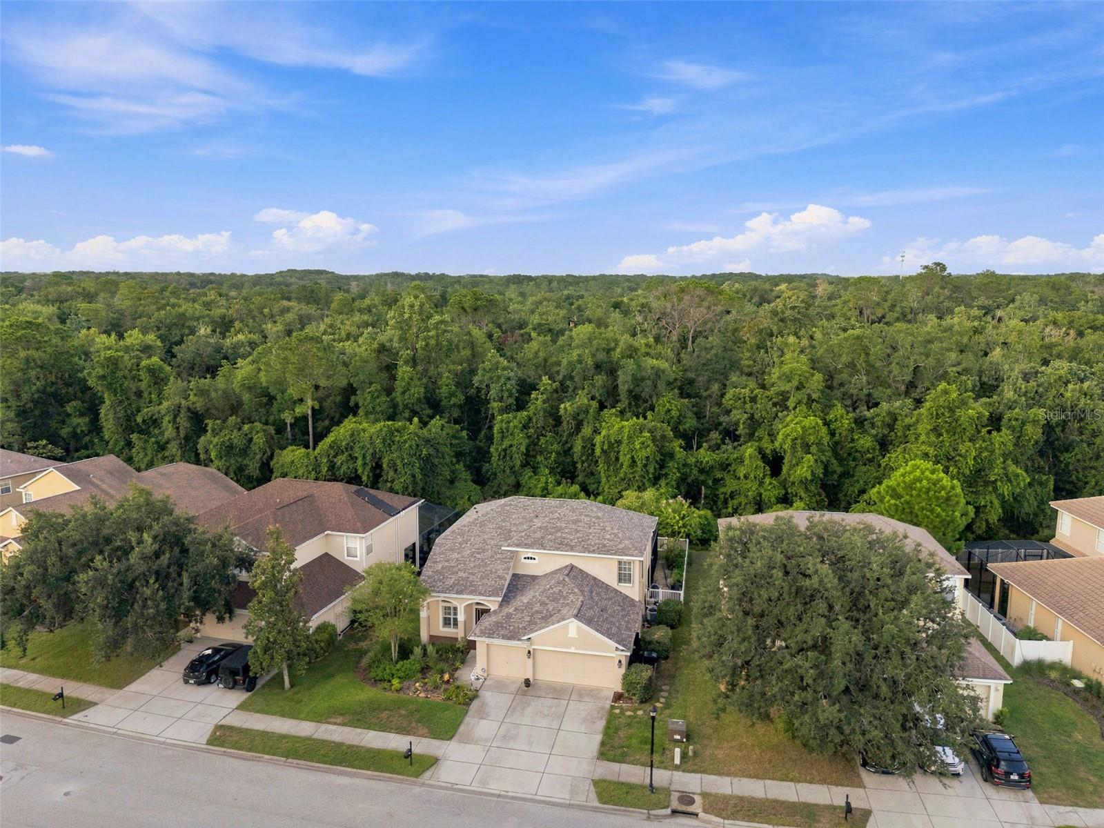 Aerial of your new home.