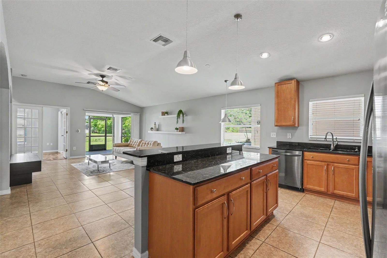 Family Room/Dinette/Kitchen