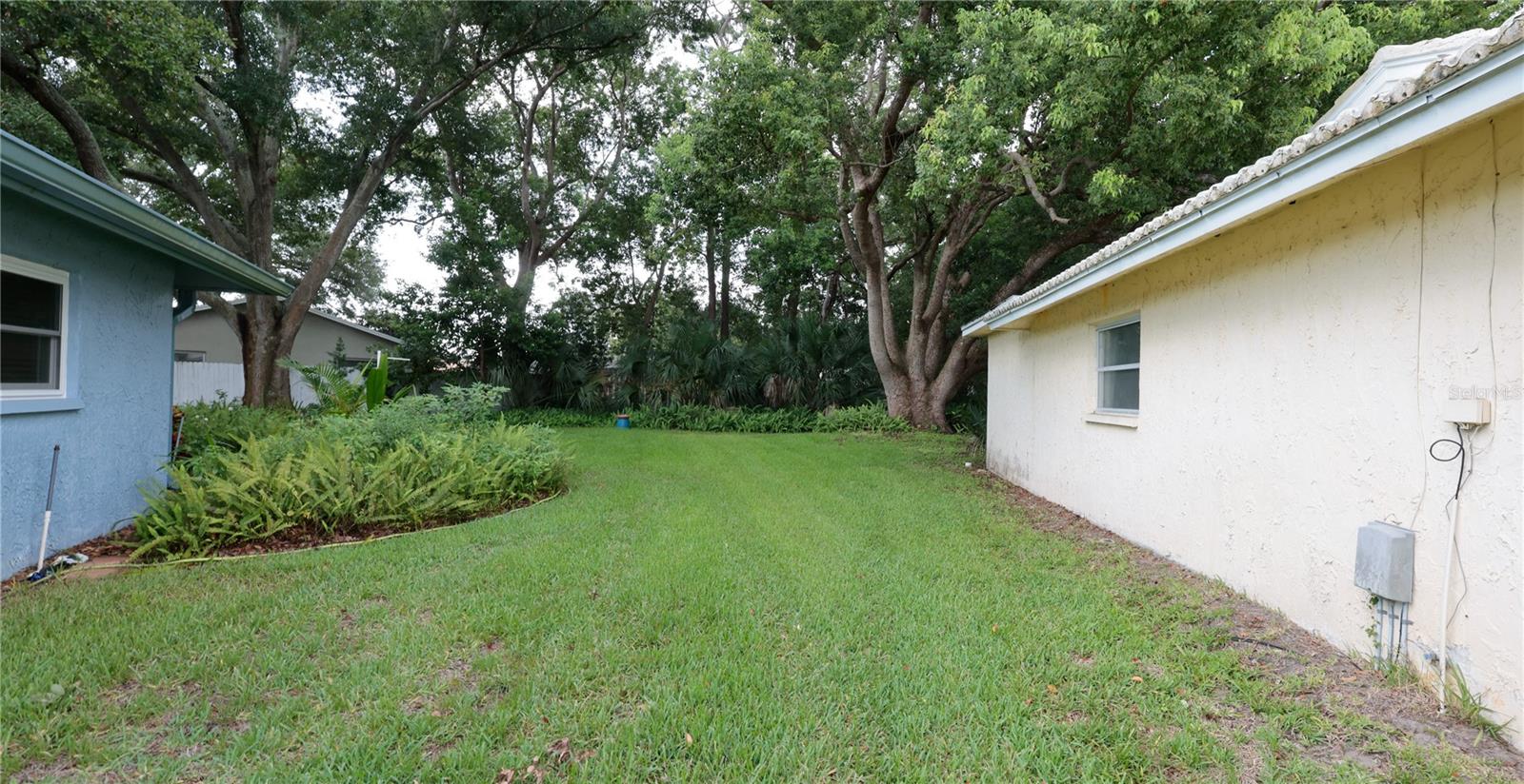 Side Yard