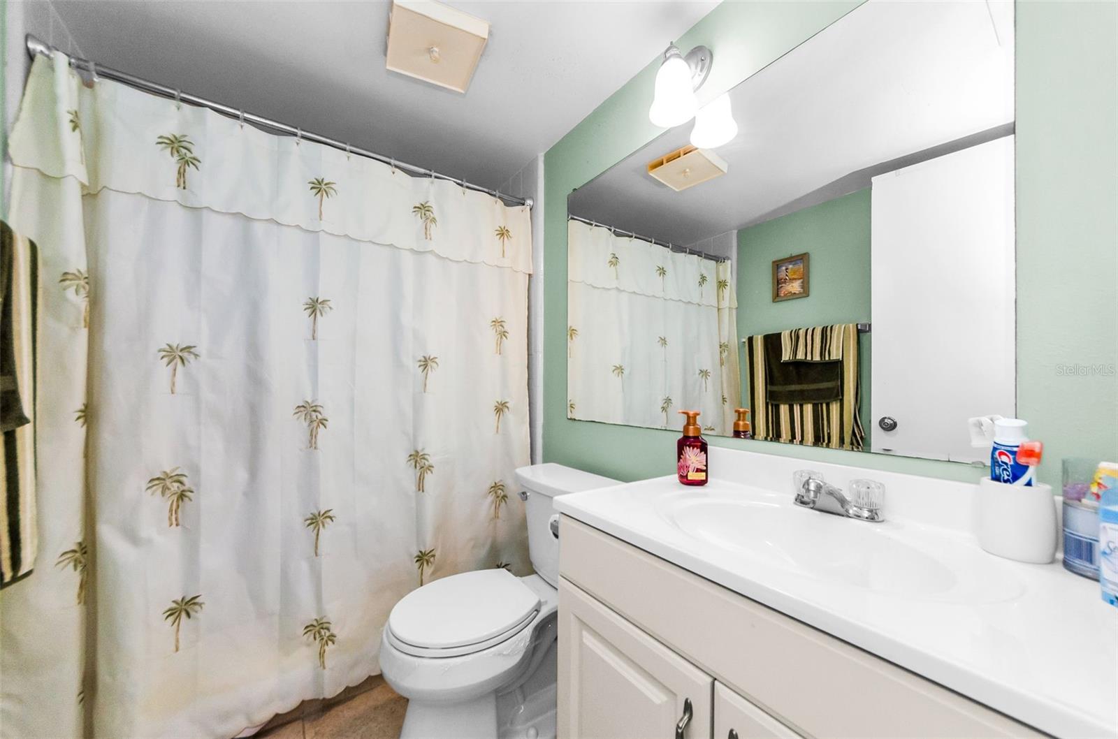 Master Bath with Walk-in Shower
