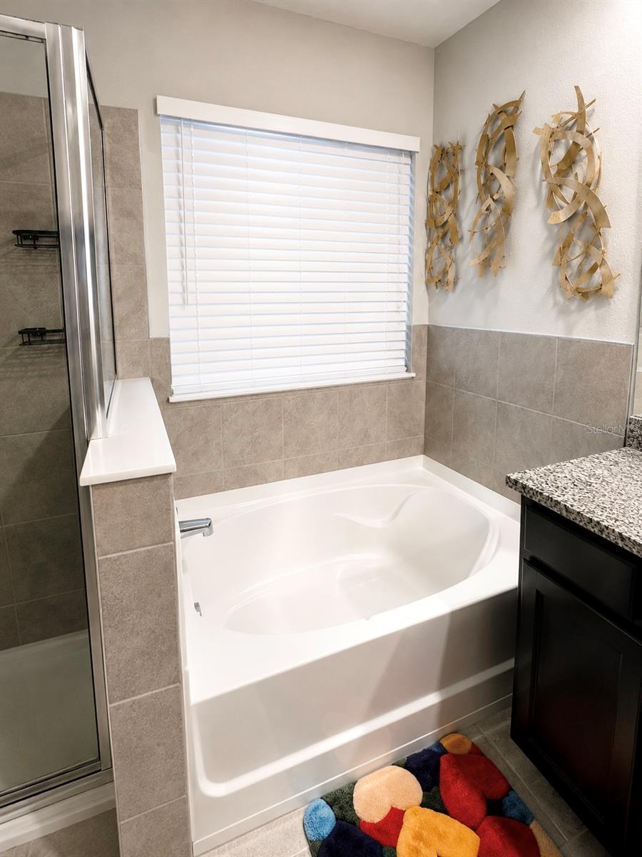 master bathroom garden tub