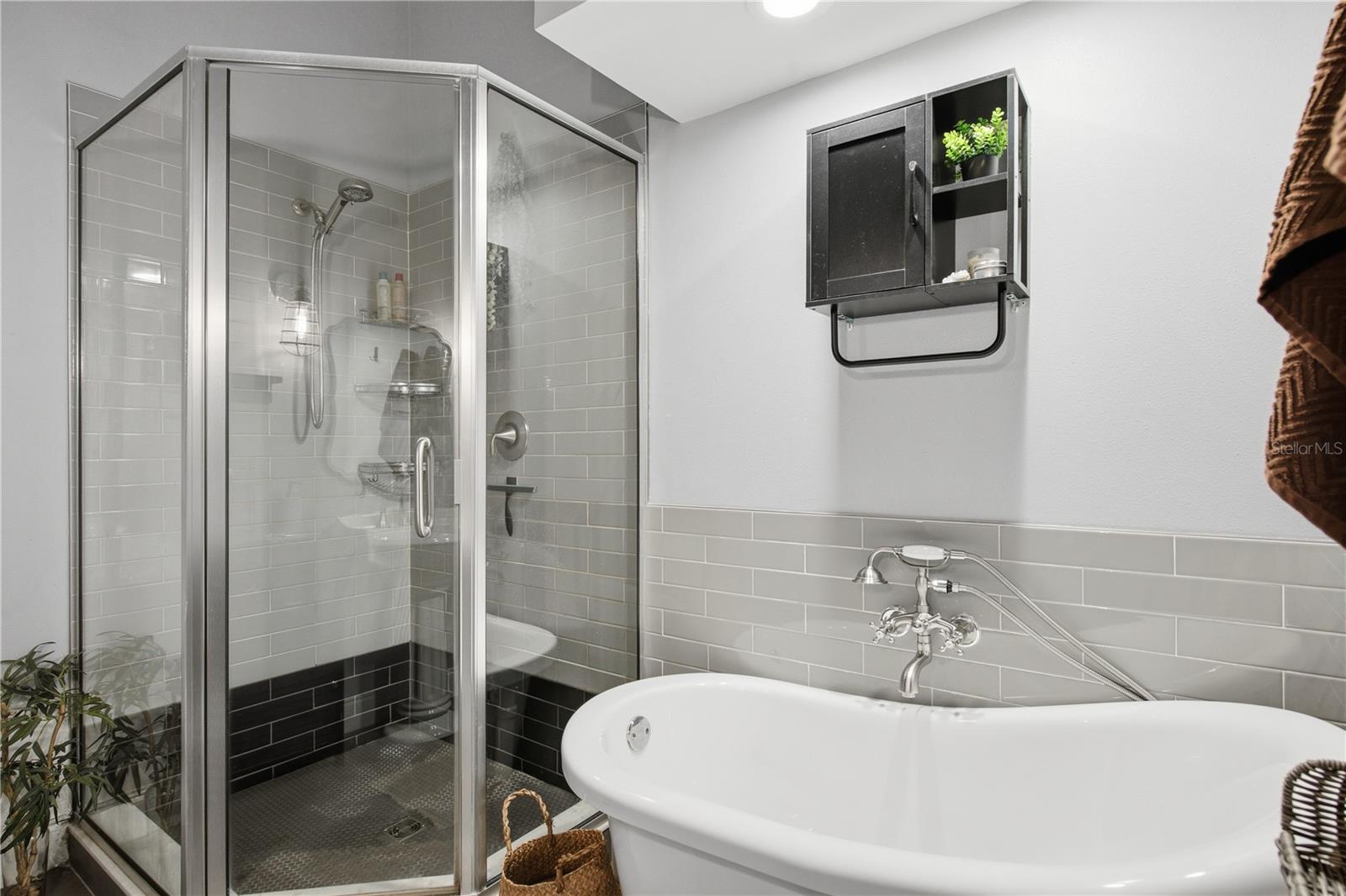 Step In Shower and A Freestanding Tub!