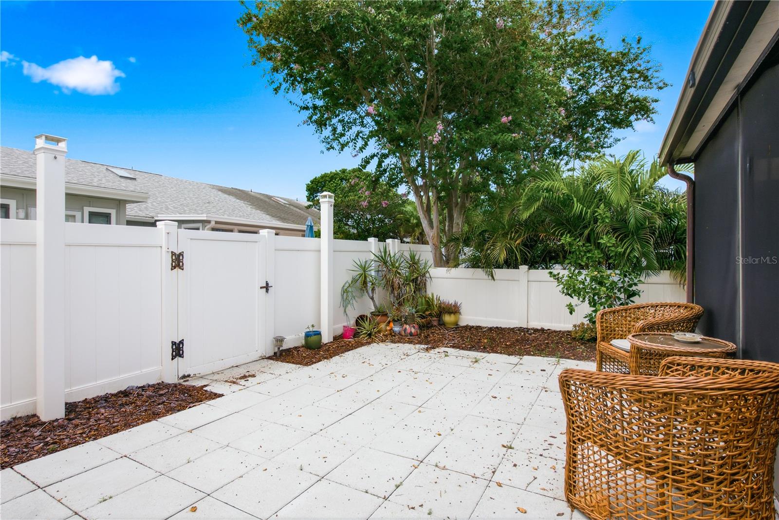 Back patio