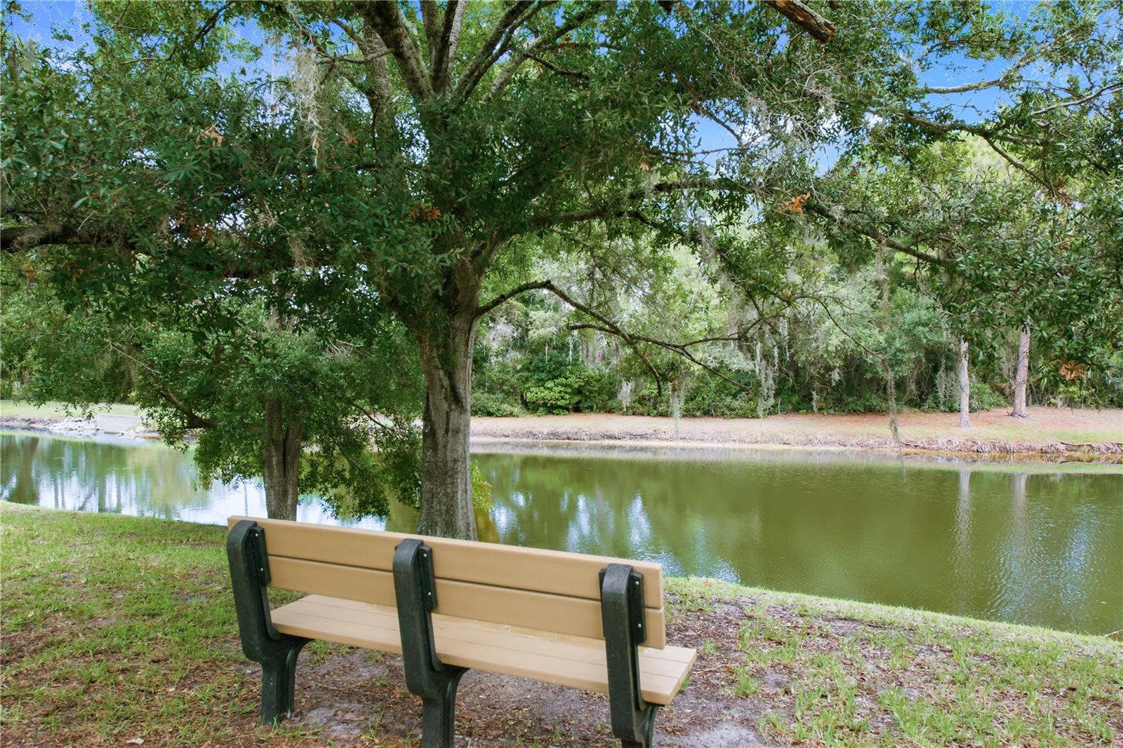 community spot to enjoy the view!