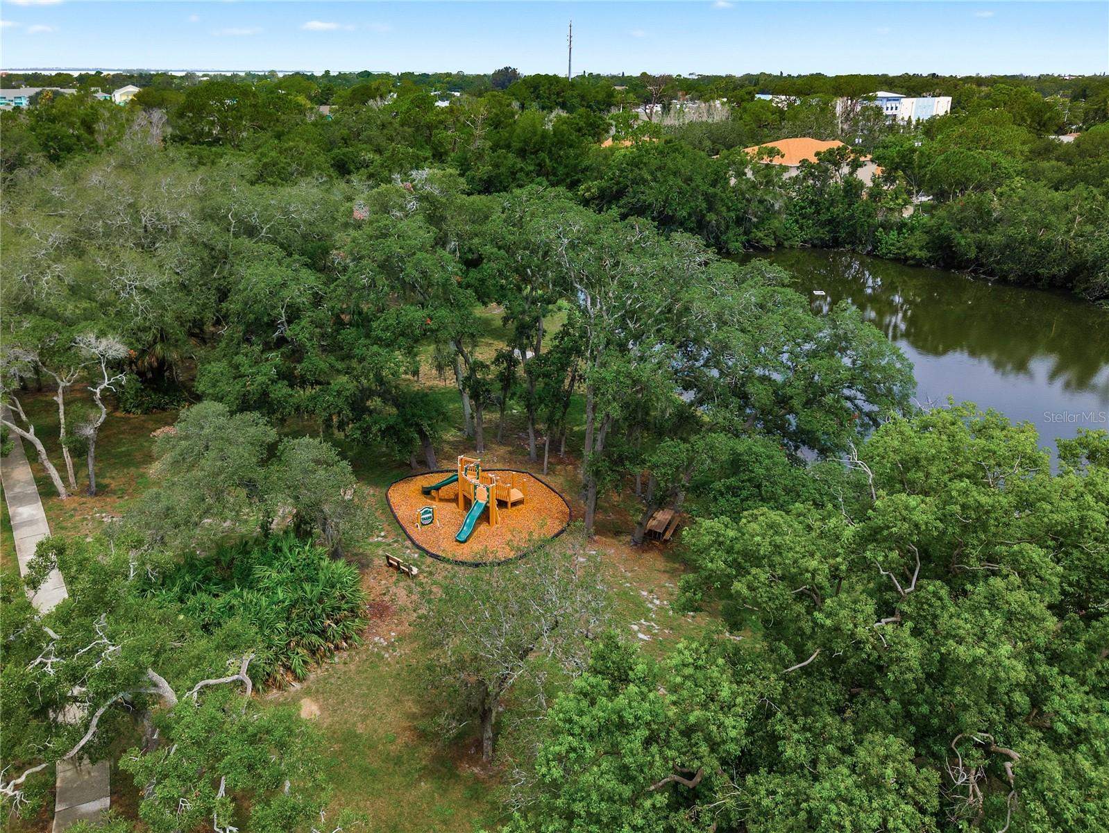 Aerial view of community park