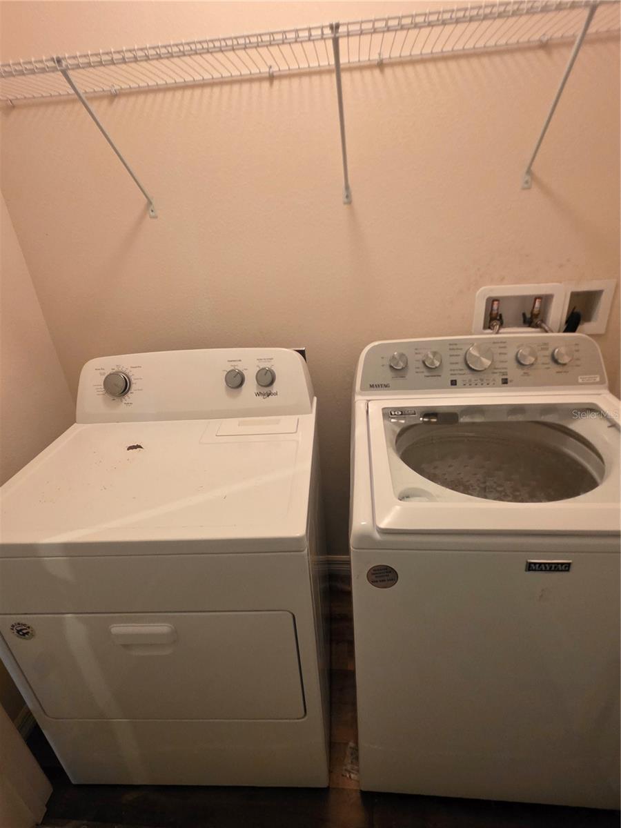INSIDE LAUNDRY