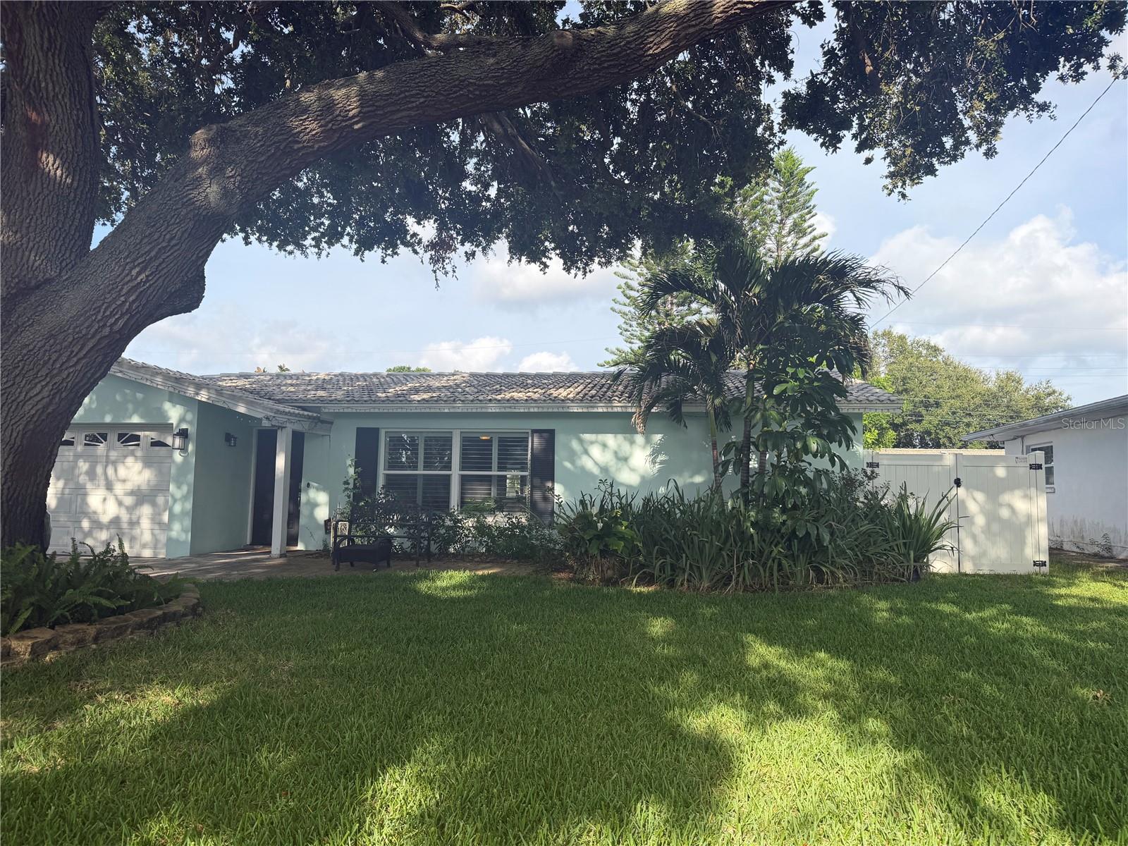 Beautiful shaded front yard.