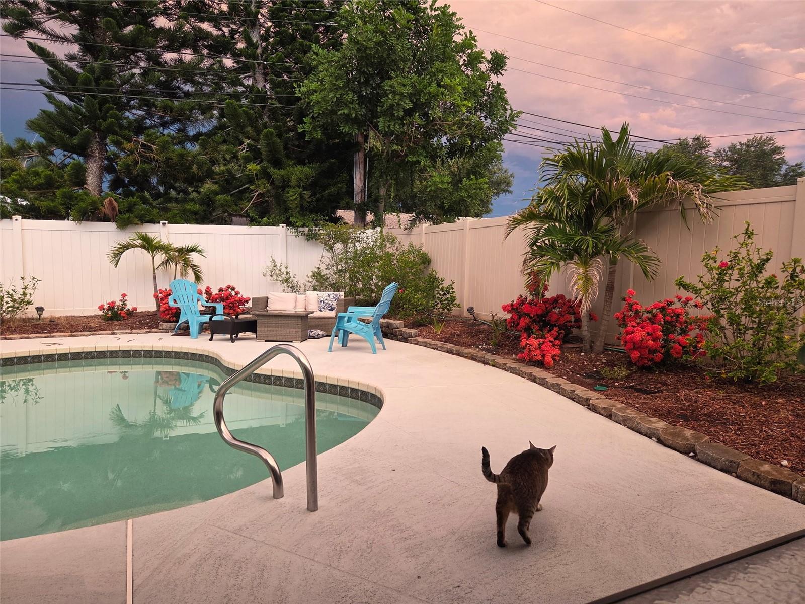 Lovely pool and landscaping with fenced in yard.