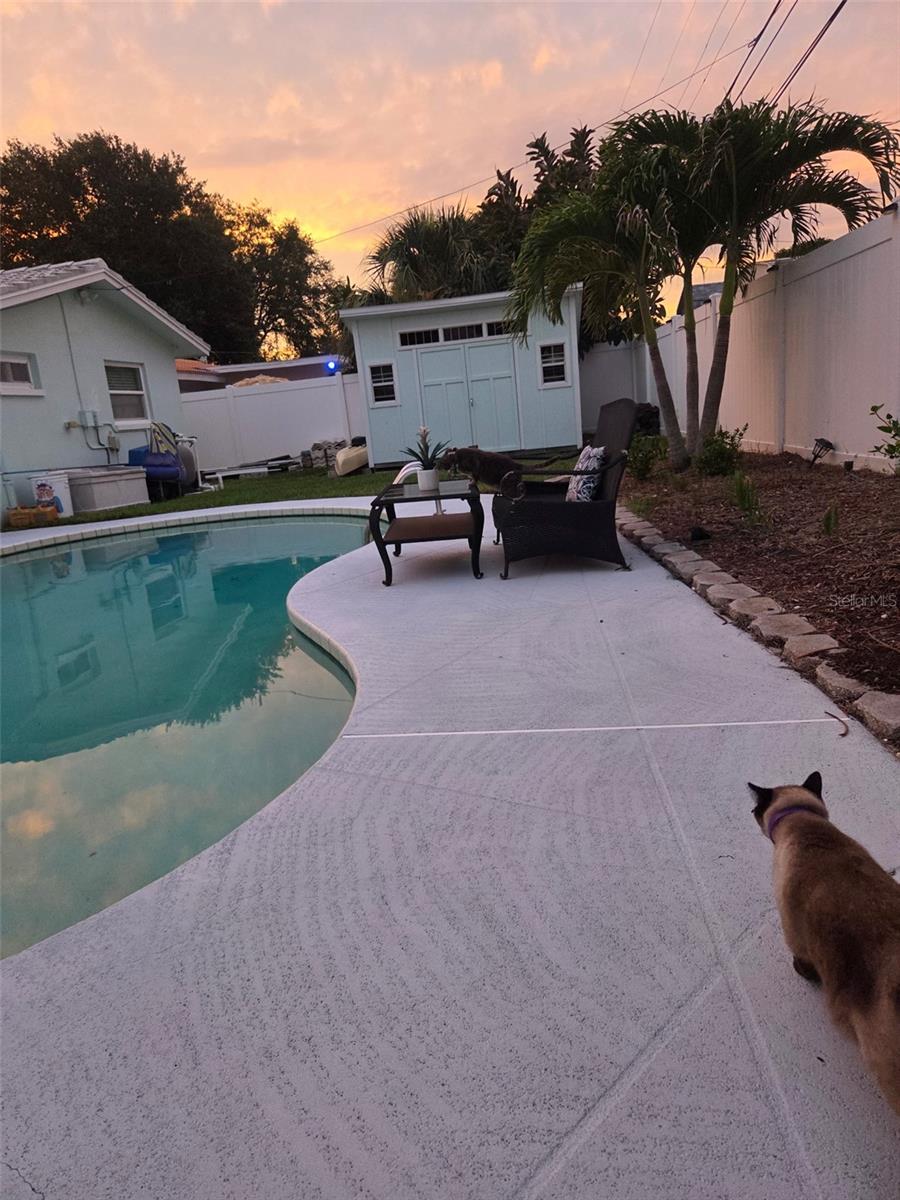 large pool deck